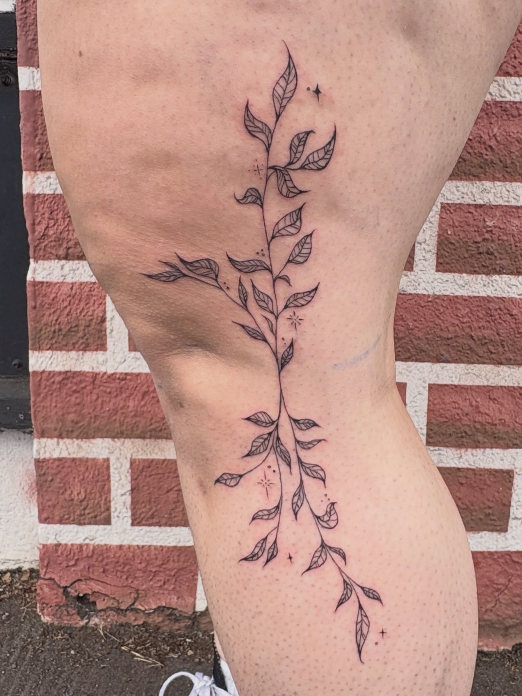Branch with leaves fine line tattoo on the thigh by izzy solae