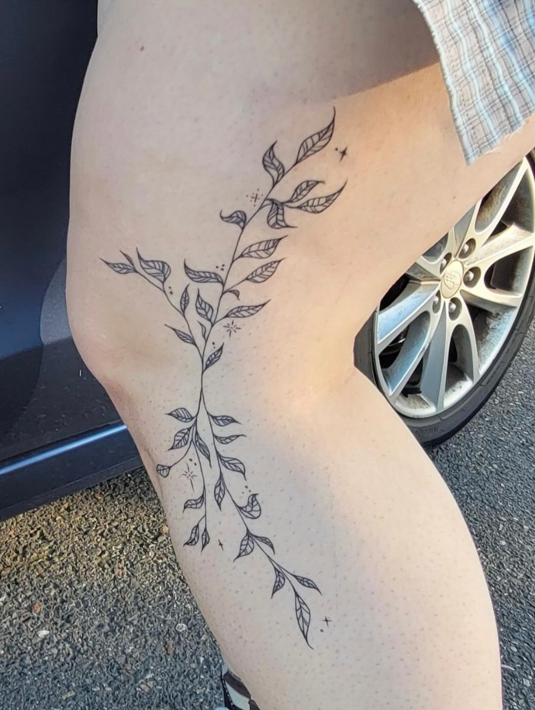 Branch with leaves fine line tattoo on the thigh by izzy solae