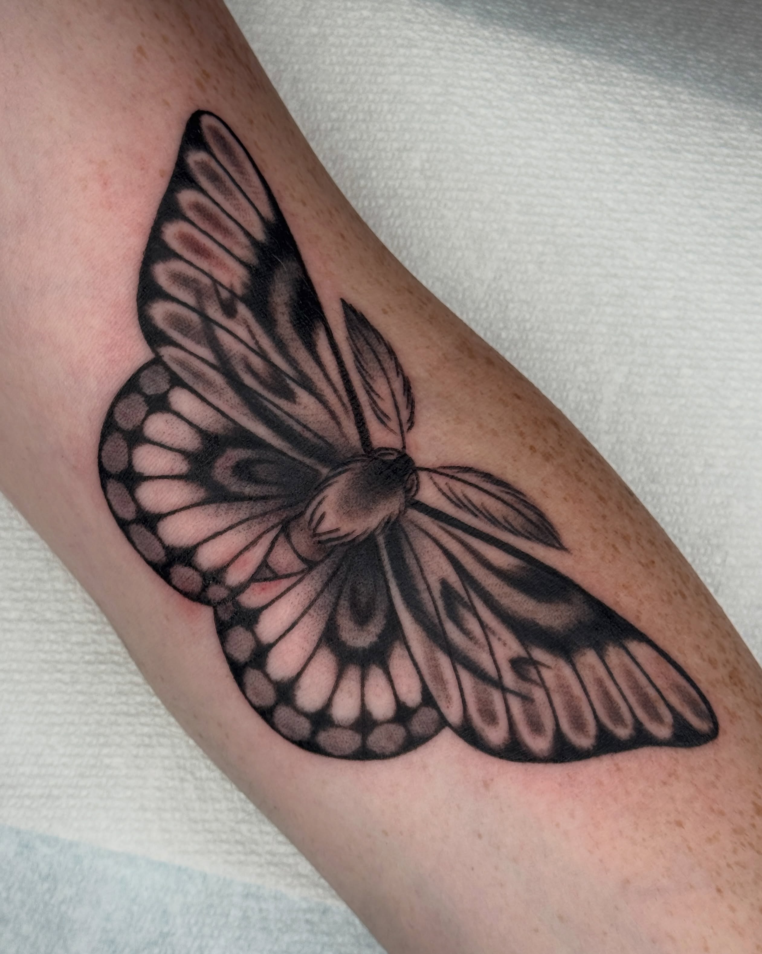 Butterfly black and grey tattoo on the forearm by Bre Grover, Vancouver, British Columbia