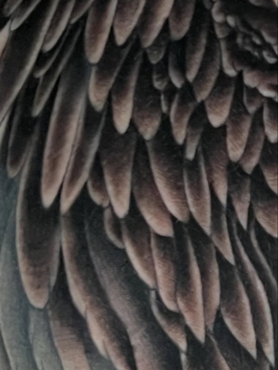 Tattoo by @therealdomgray β realism, black_and_grey