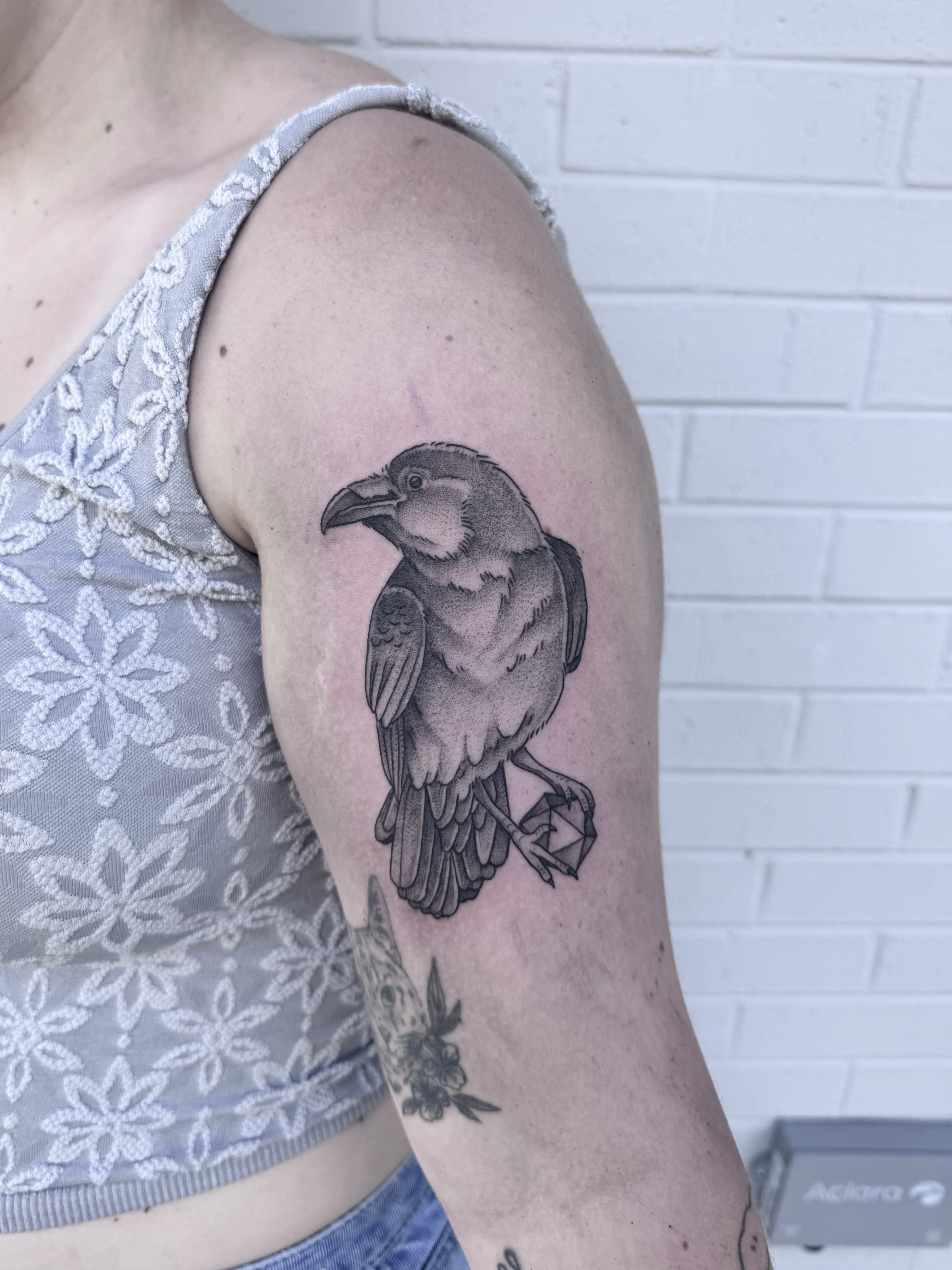Crow realism tattoo on the shoulder by Audrey Kacel, Holland, Michigan