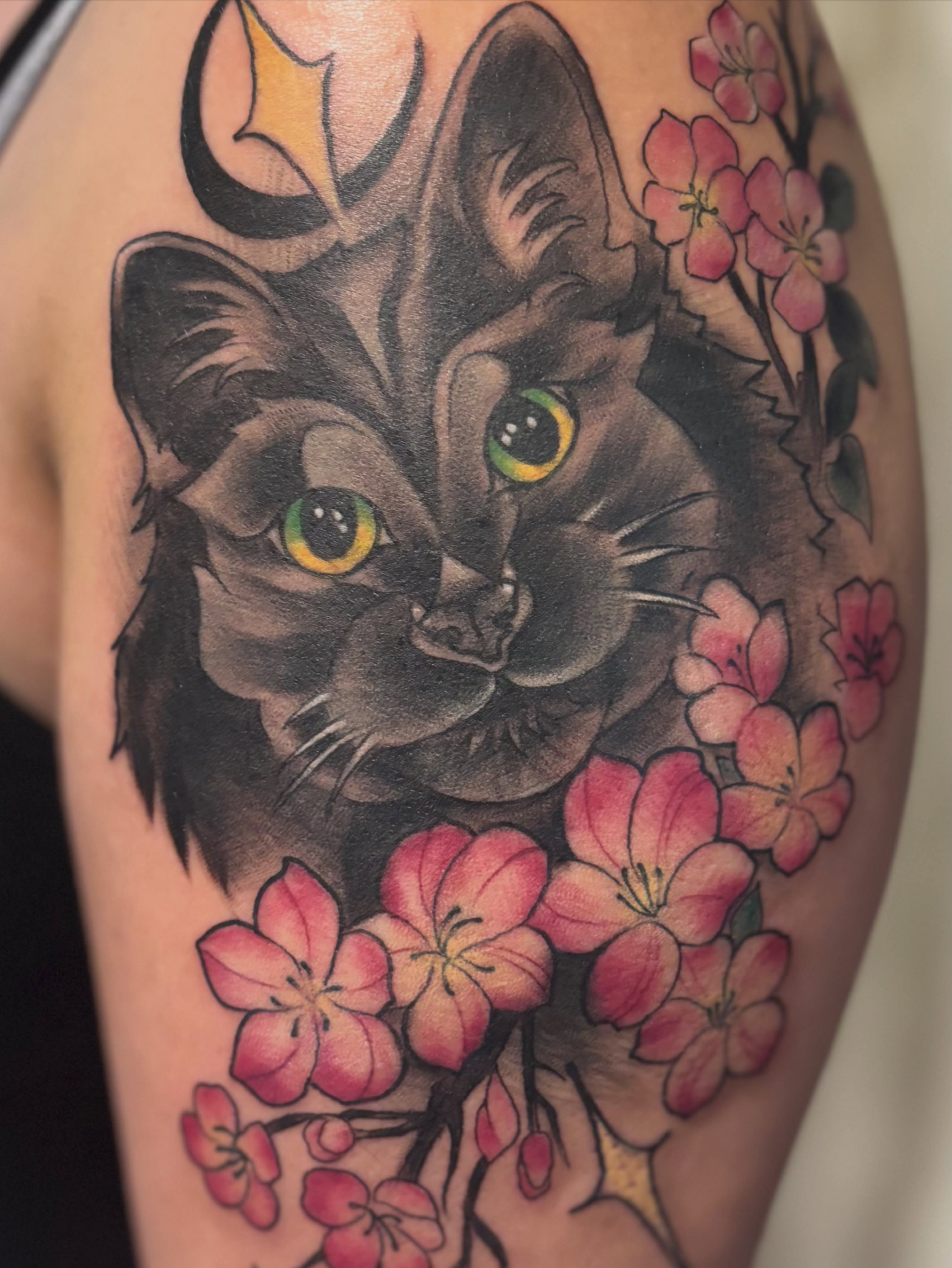 Cat and cherry blossoms realism tattoo on the forearm by Komfort Kristy