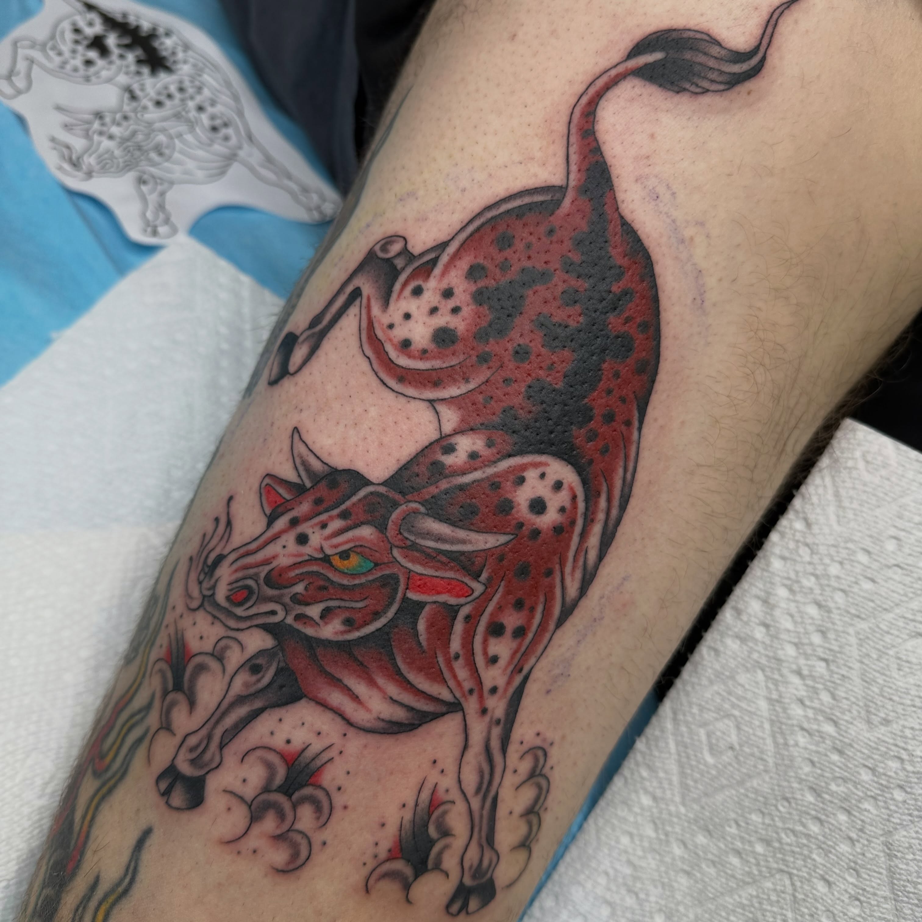 Bull American traditional tattoo on the forearm by Austin Murfitt