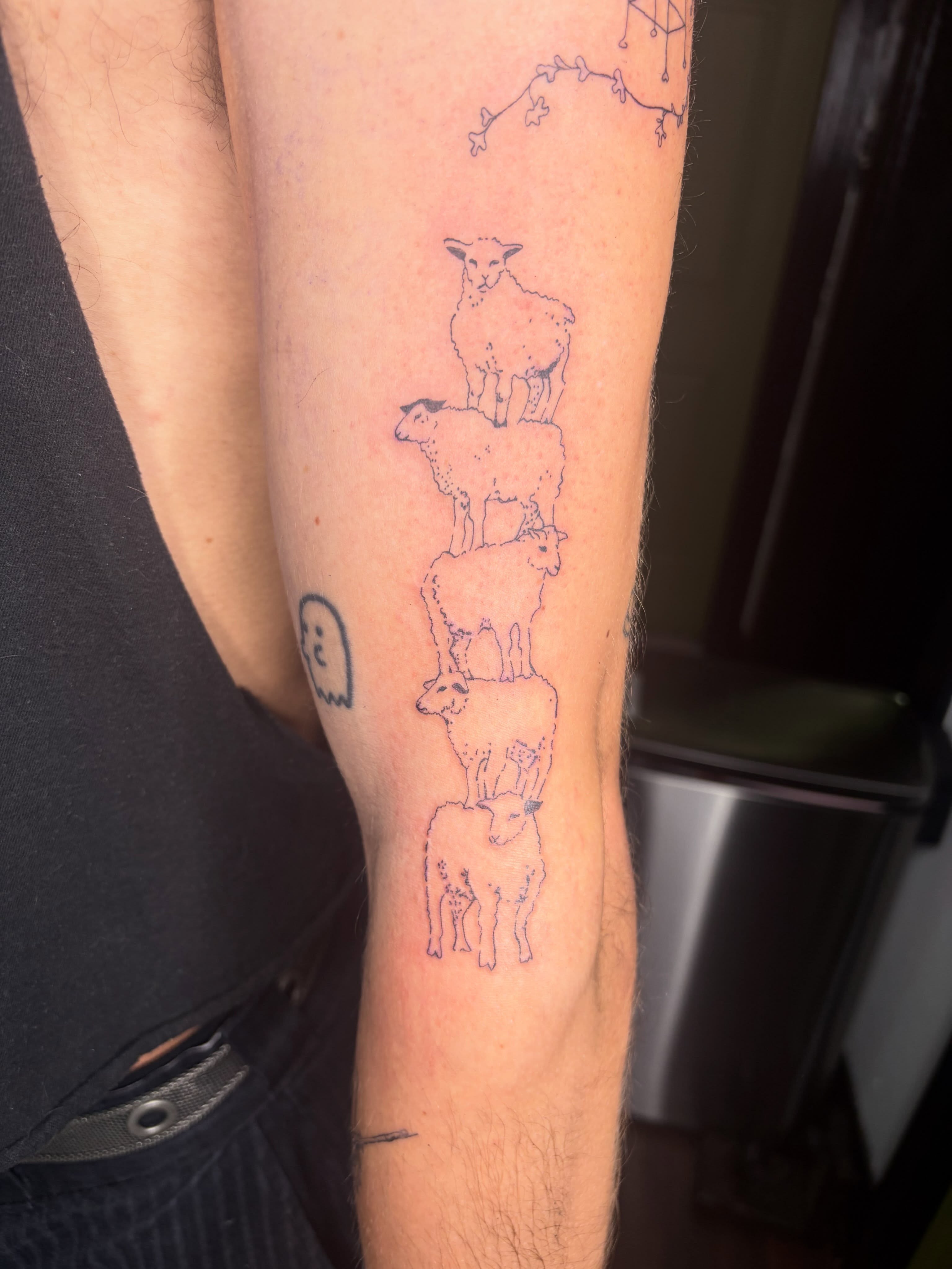 Sheep fine line tattoo on the forearm by Mattie Robinson
