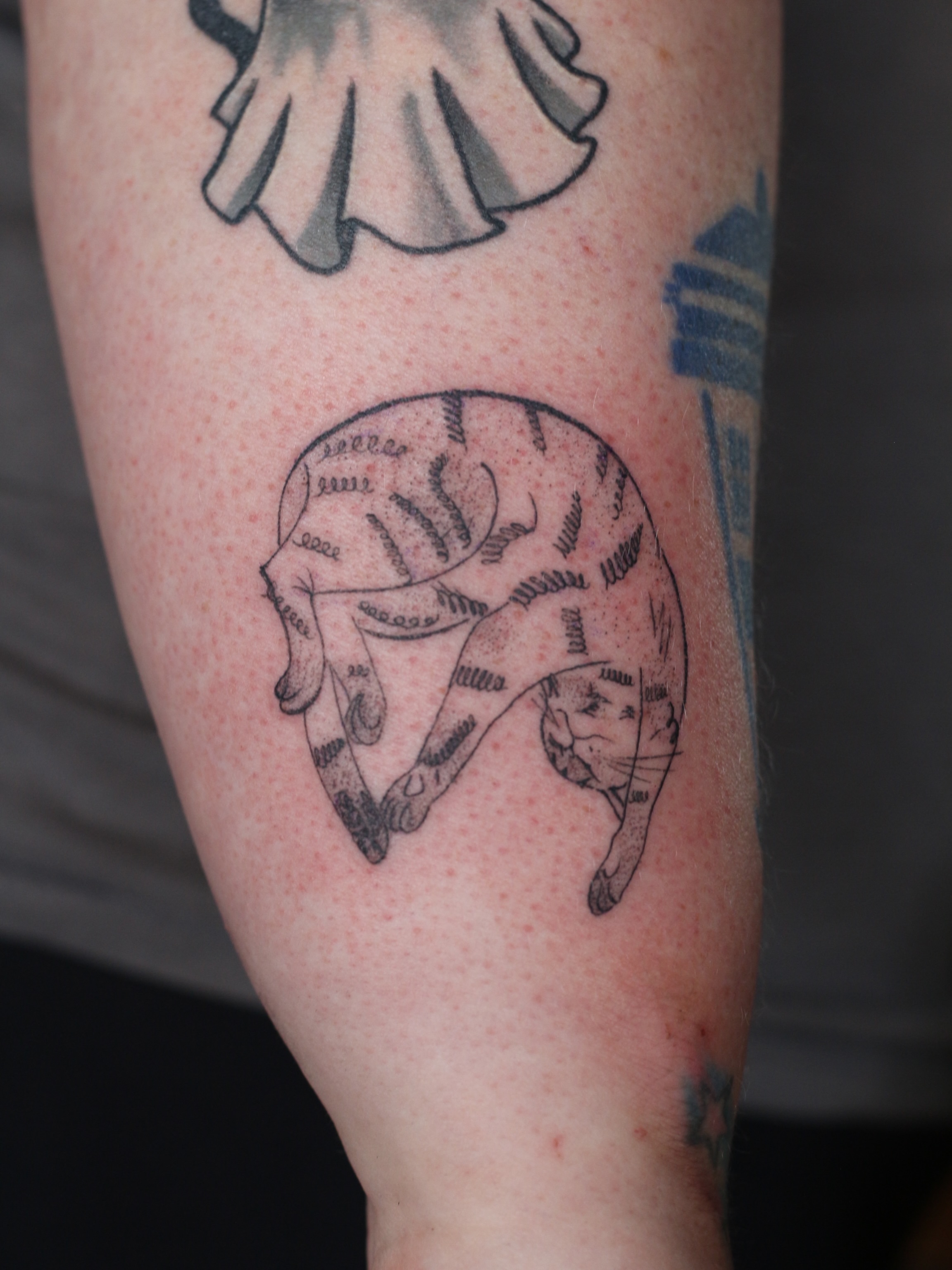 Tattoo by @stephsta2s — black_and_grey