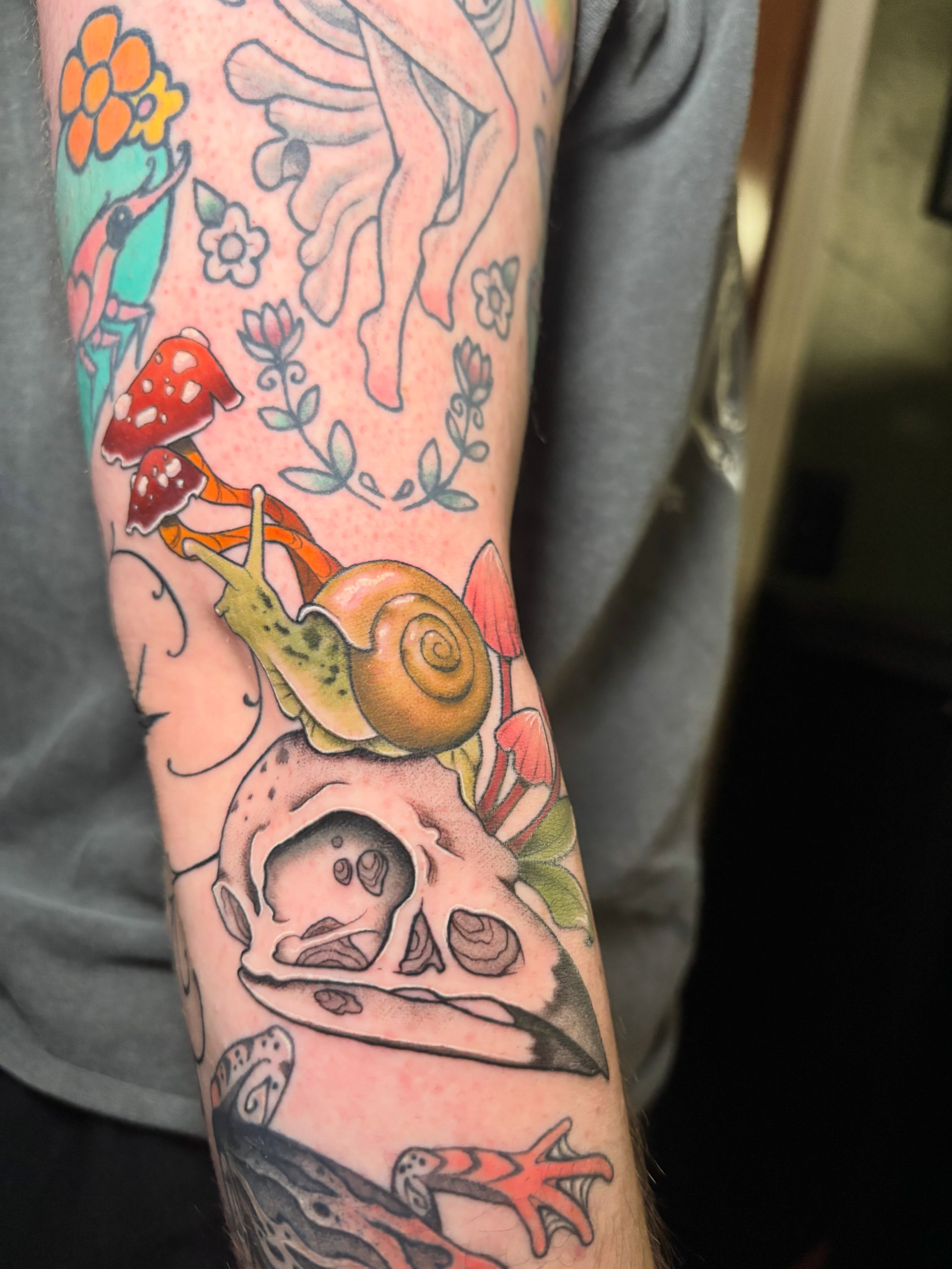 Snail and skull new school tattoo on the forearm by Wren Hollow, Portland, Oregon