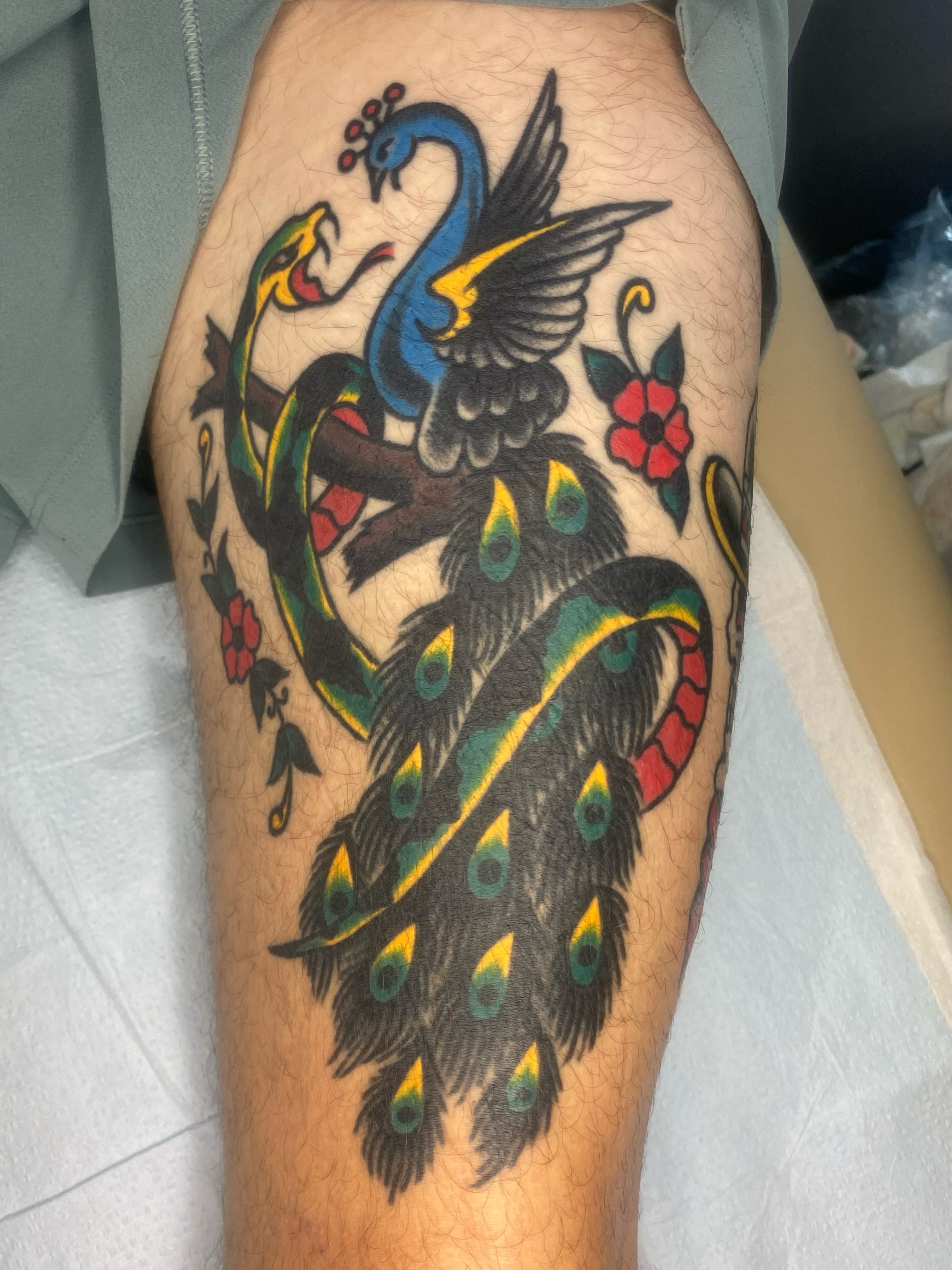 Peacock and snake American traditional tattoo on the thigh by Jack, Knoxville, Tennessee
