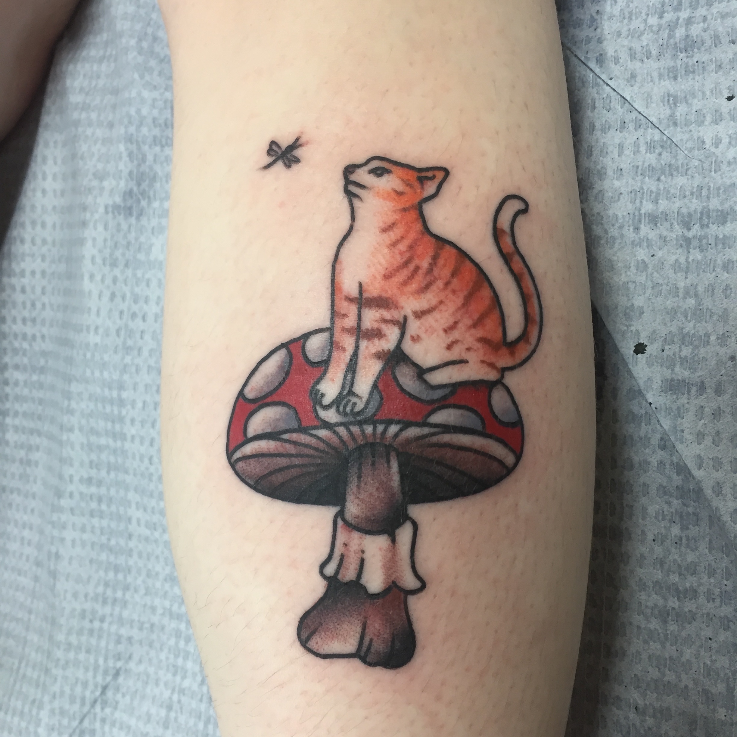 Cat on mushroom dotwork tattoo on the forearm by Ramsie Segura-Andrews