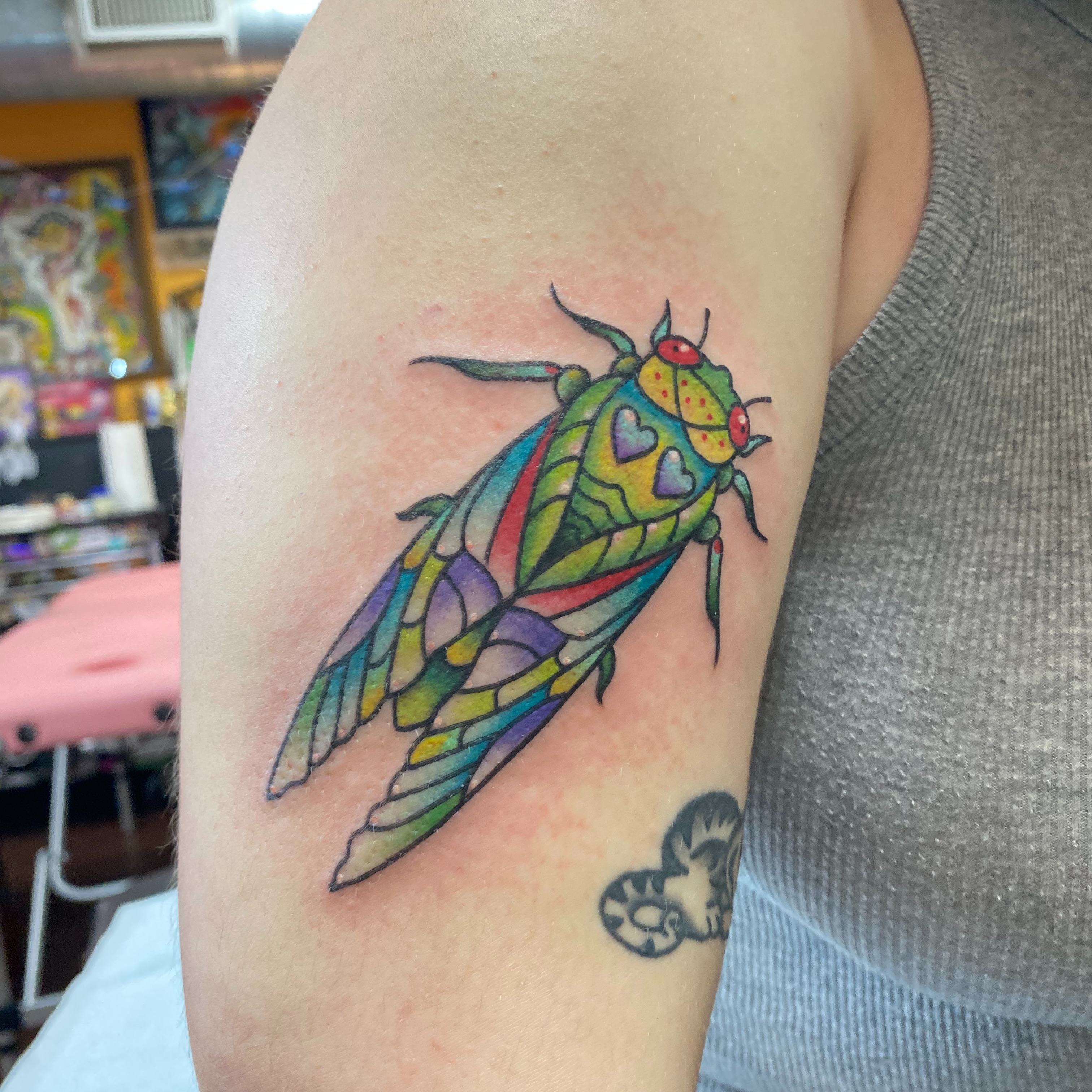 Cicada American traditional tattoo on the forearm by Ramsie Segura-Andrews