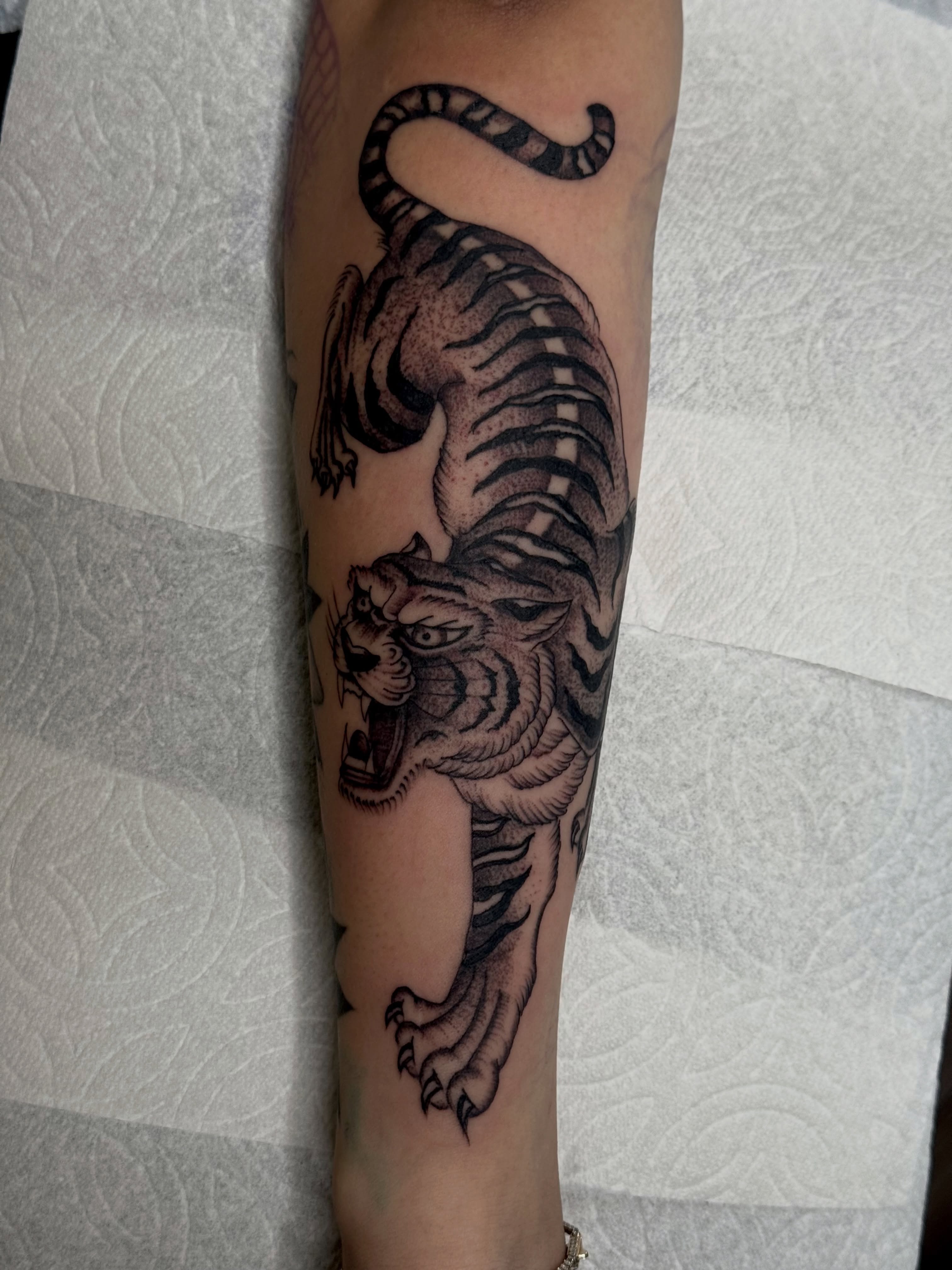 Tiger black and grey tattoo on the forearm by San Diego Tattoo Artist - 𝔍𝔞𝔠𝔬𝔟 𝔓𝔞𝔫𝔦𝔞𝔤𝔲𝔞