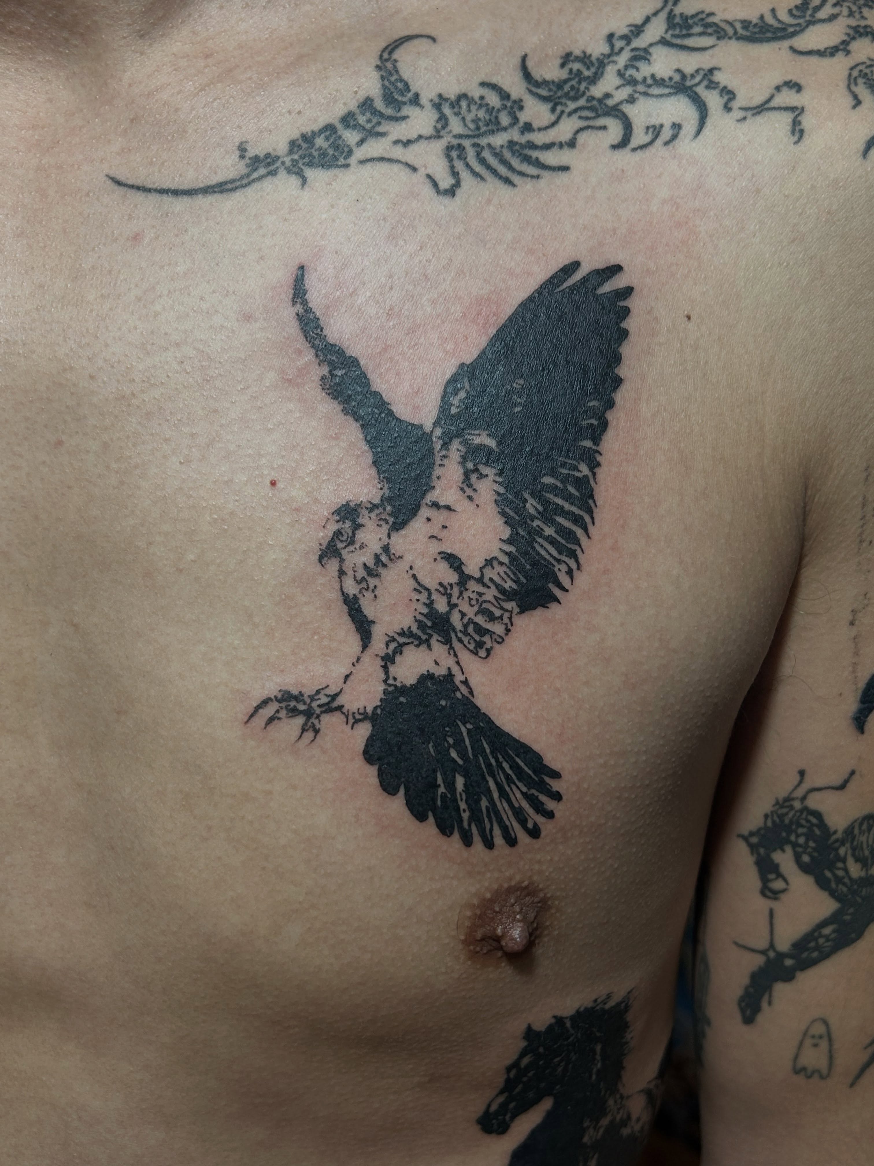 Falcon black and grey tattoo on the chest by Barro