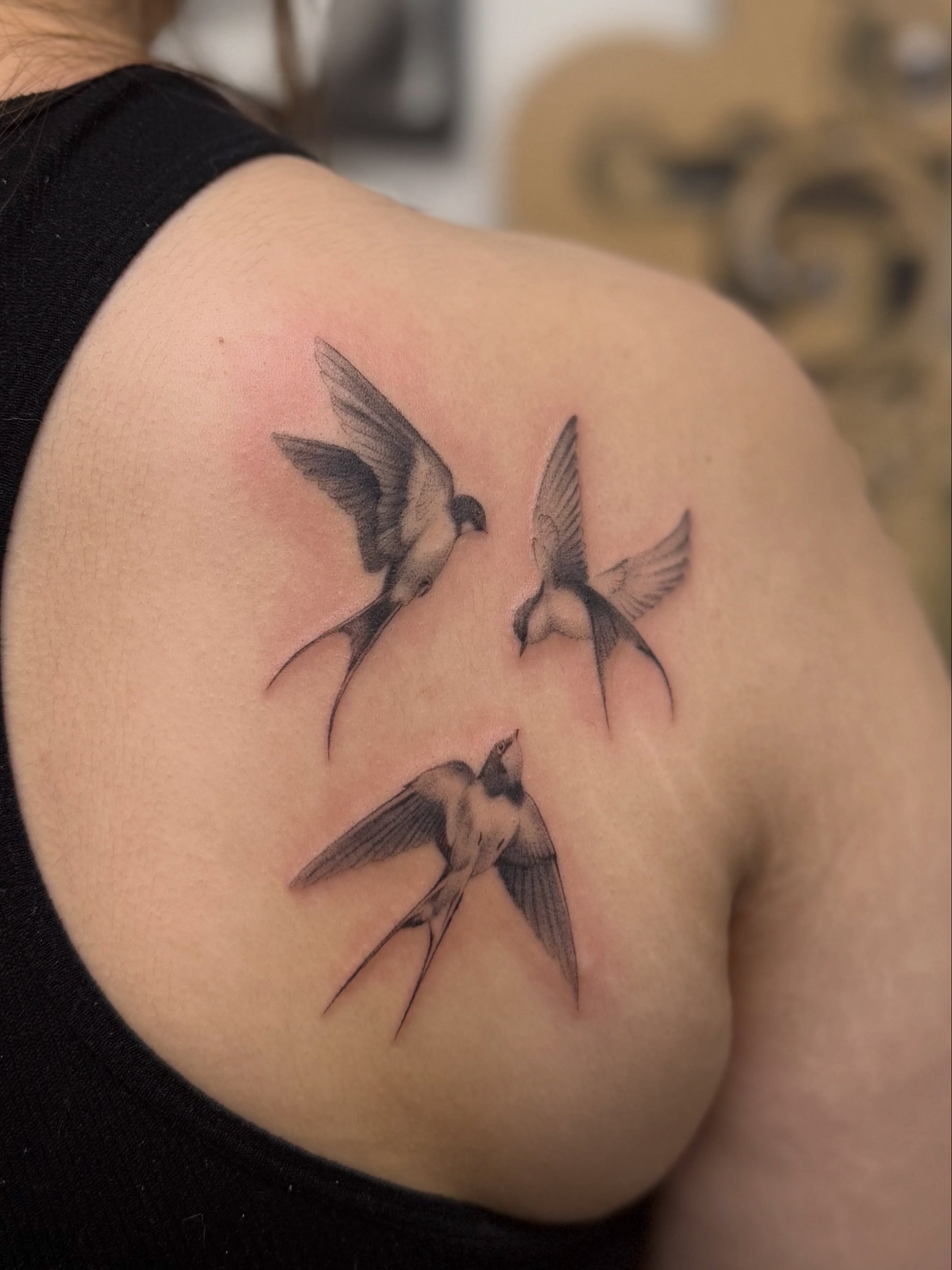Swallows realism tattoo on the shoulder by liliana lopez