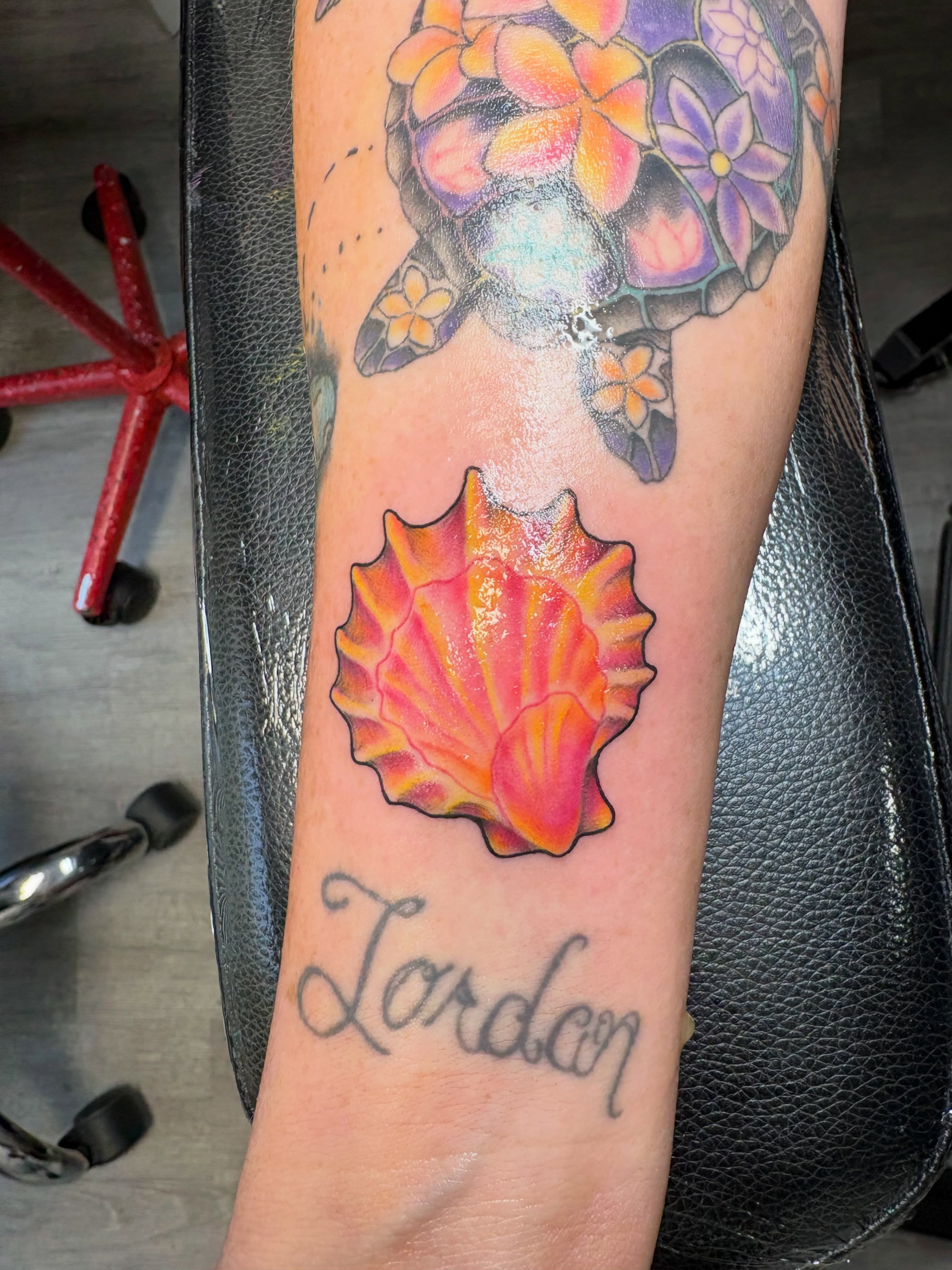 Shell and turtle new school tattoo on the forearm by Andrea 🎨🖌