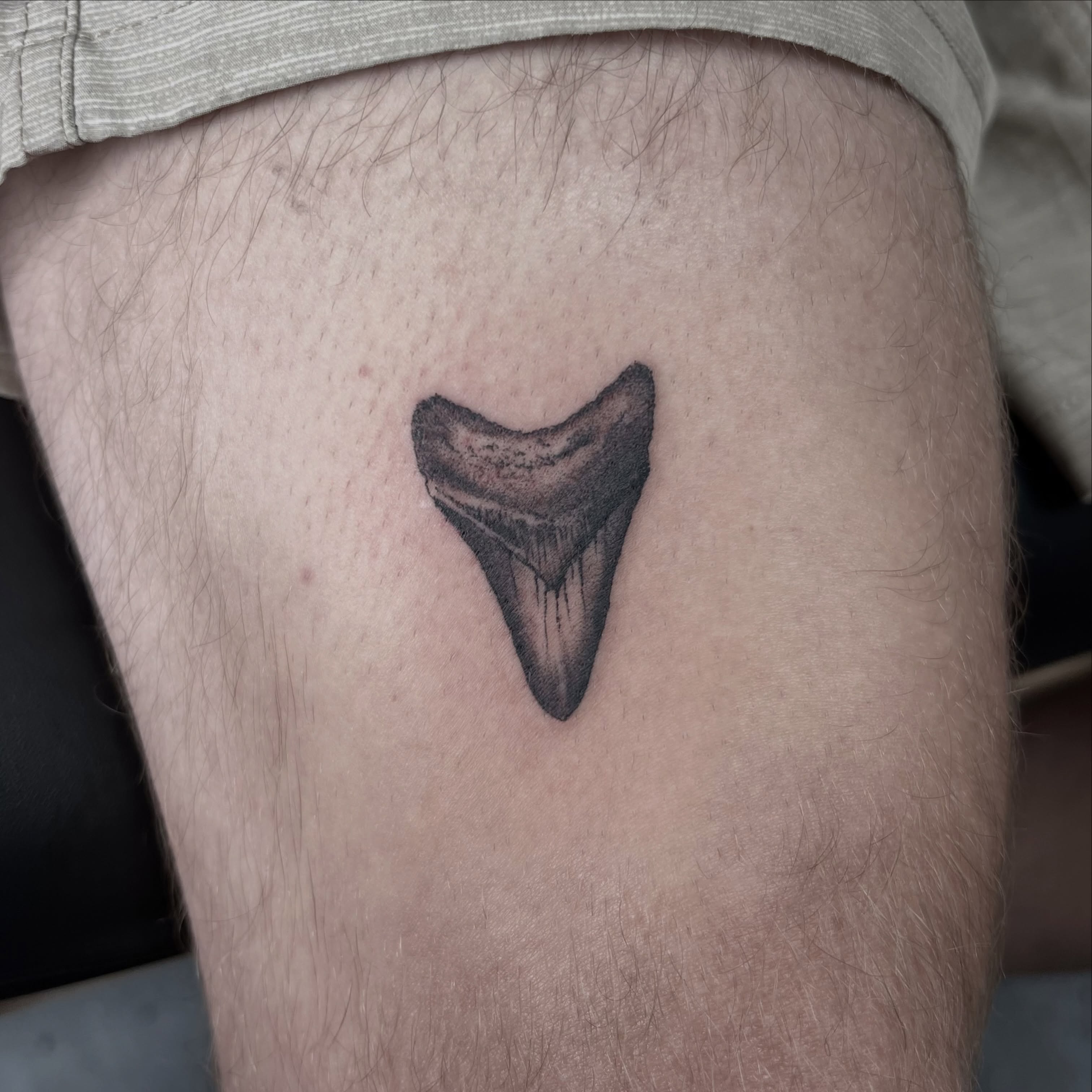 Shark tooth black and grey tattoo on the thigh by ✶ H A N N A H K A y ✶