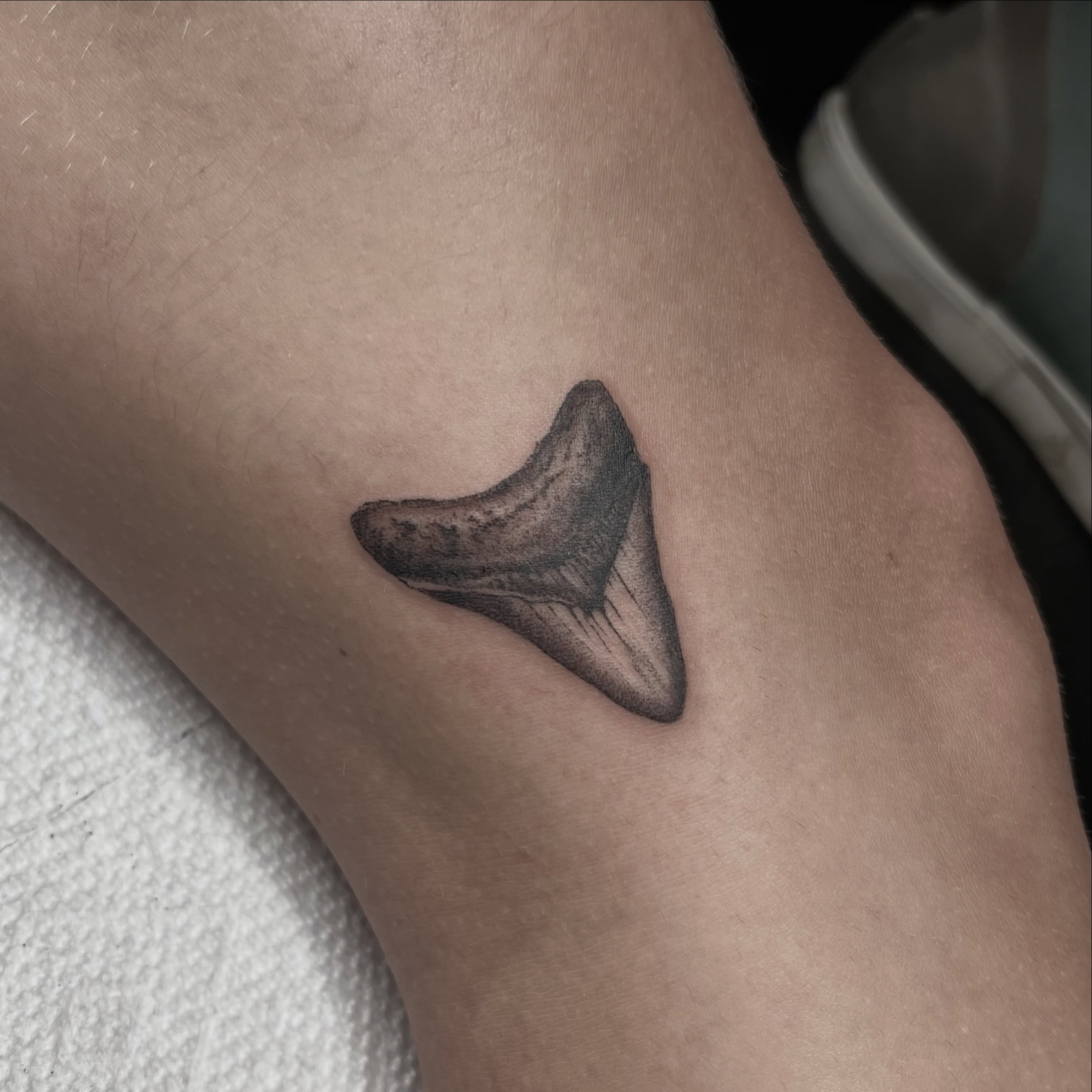 Shark tooth black and grey tattoo on the forearm by ✶ H A N N A H K A y ✶