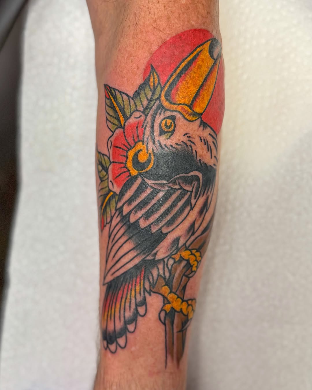 Parrot American traditional tattoo on the forearm by Zac Tattooer