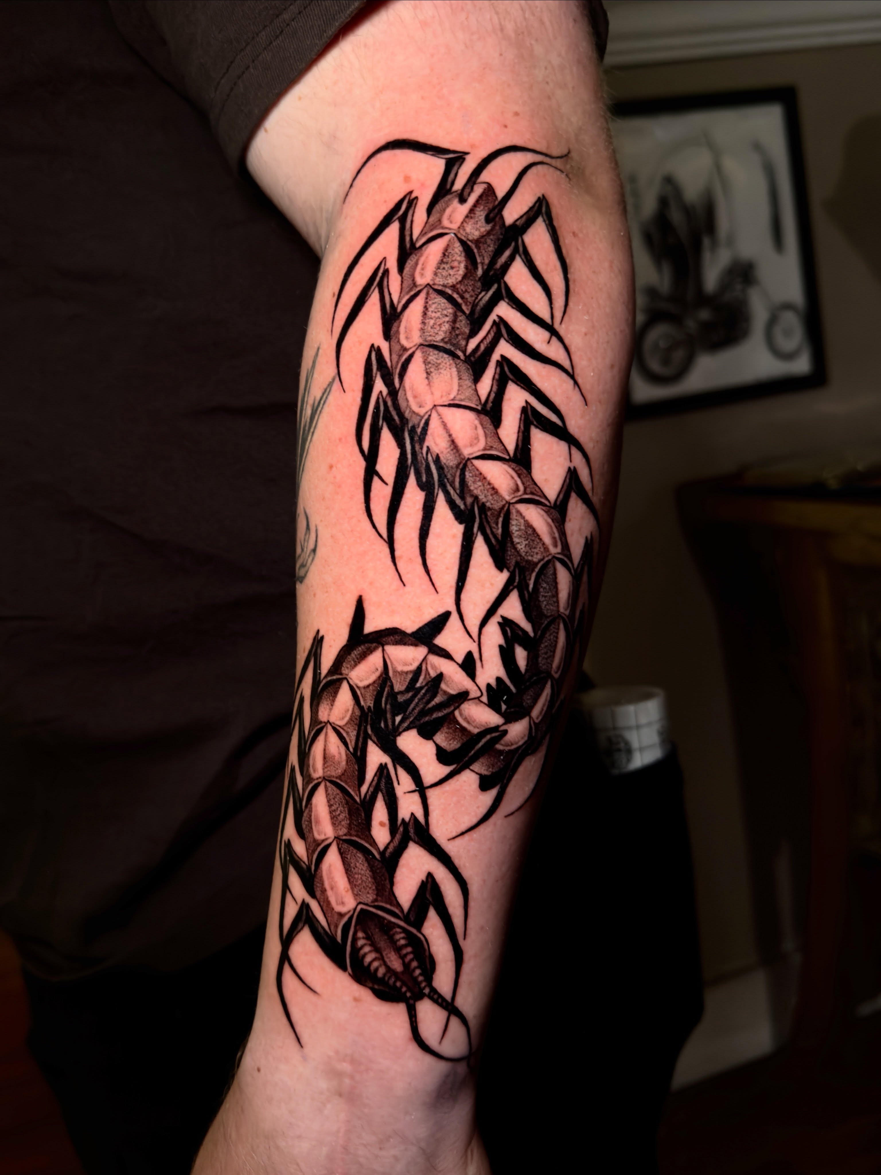 Scorpion black and grey tattoo on the forearm by Marisa Biddle
