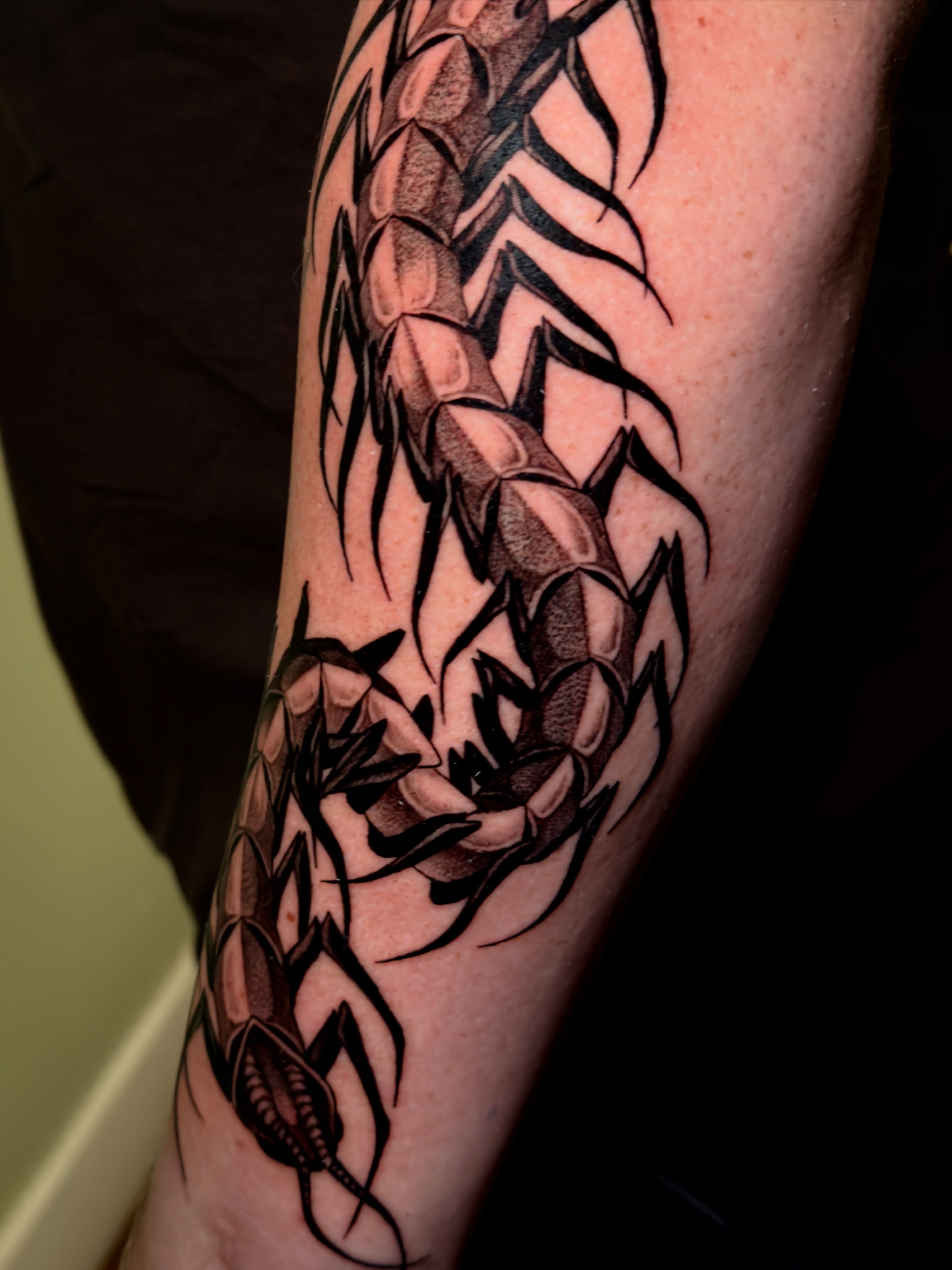 Serpent tribal tattoo on the forearm by Marisa Biddle
