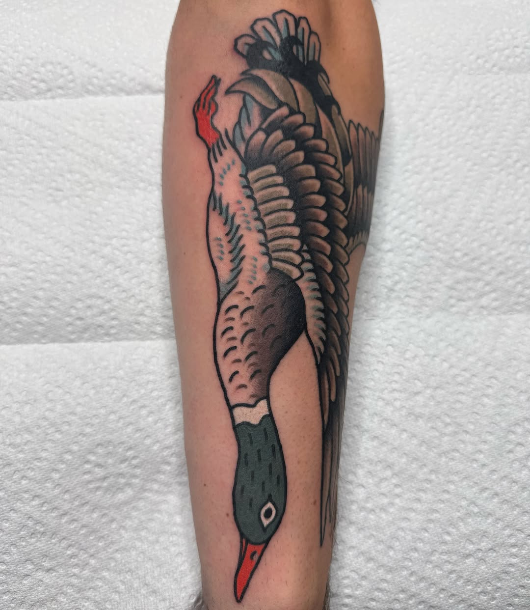 Goose American traditional tattoo on the forearm by ༺tessa༻