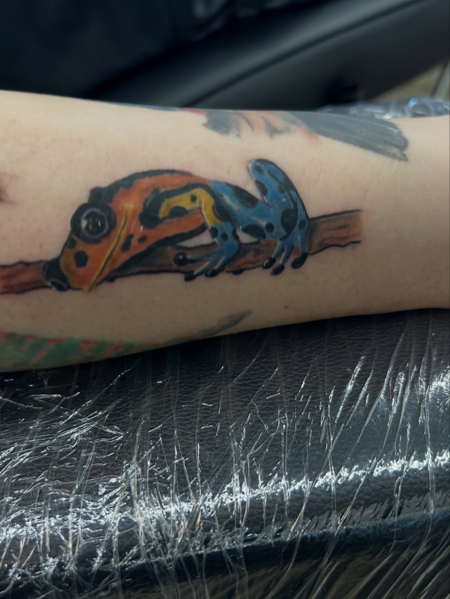 Frogs realism tattoo on the forearm by Vanessa - Dallas Artist