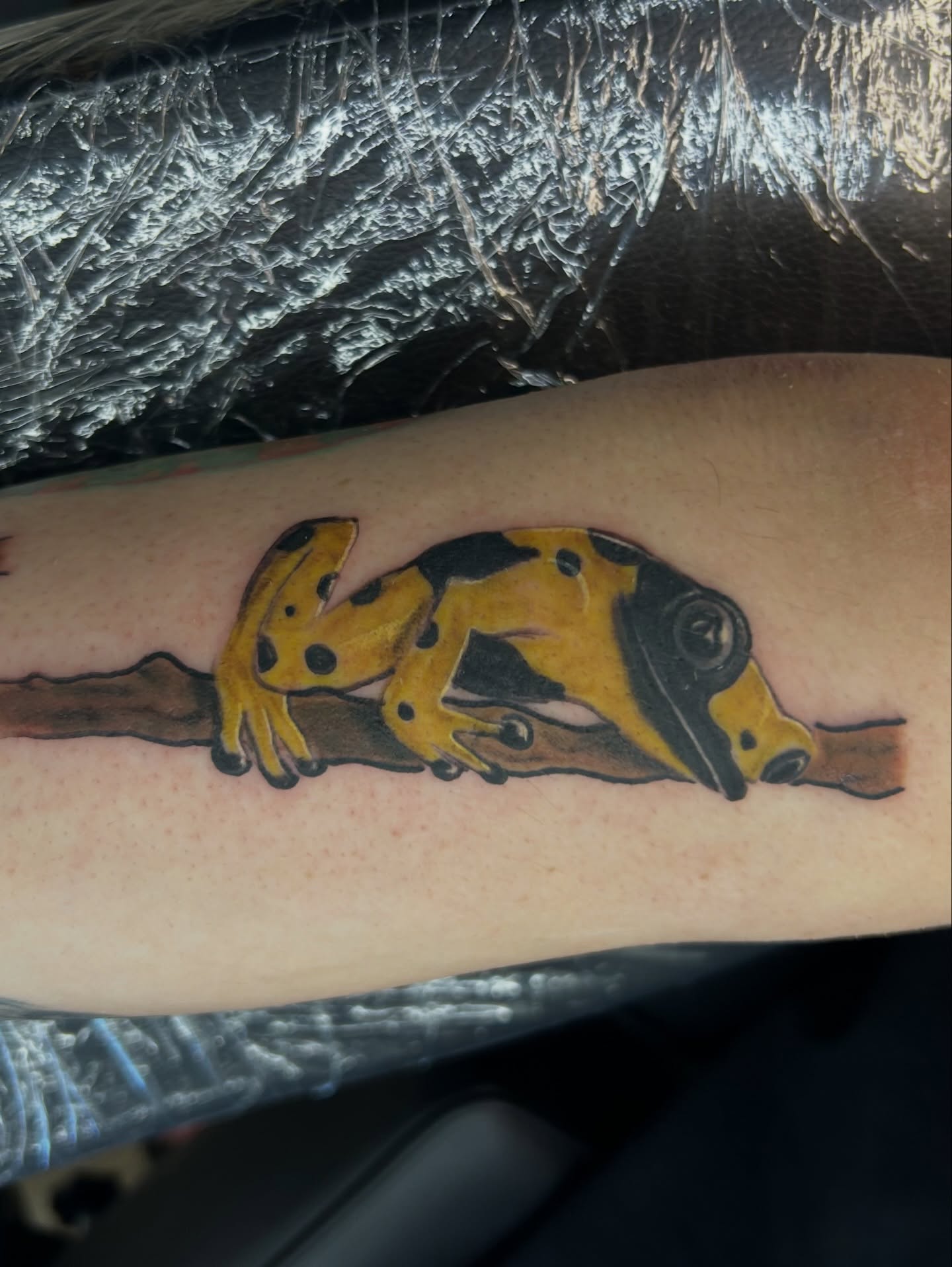 Yellow frog realism tattoo on the forearm by Vanessa - Dallas Artist