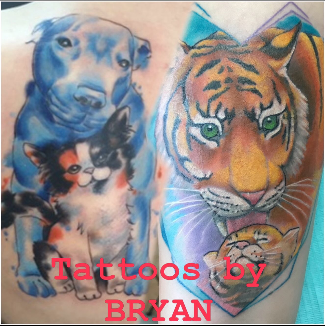 Dog, cat, tiger realism tattoo on the forearm by Bryan Hunt