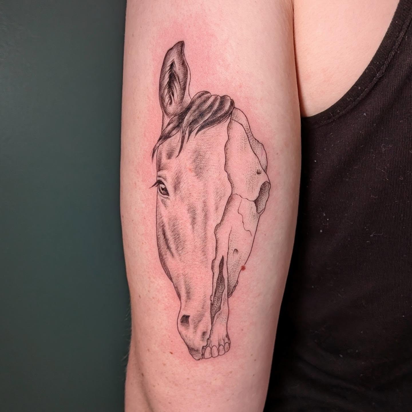 Horse head dotwork tattoo on the forearm by L U C y, Knoxville, Tennessee
