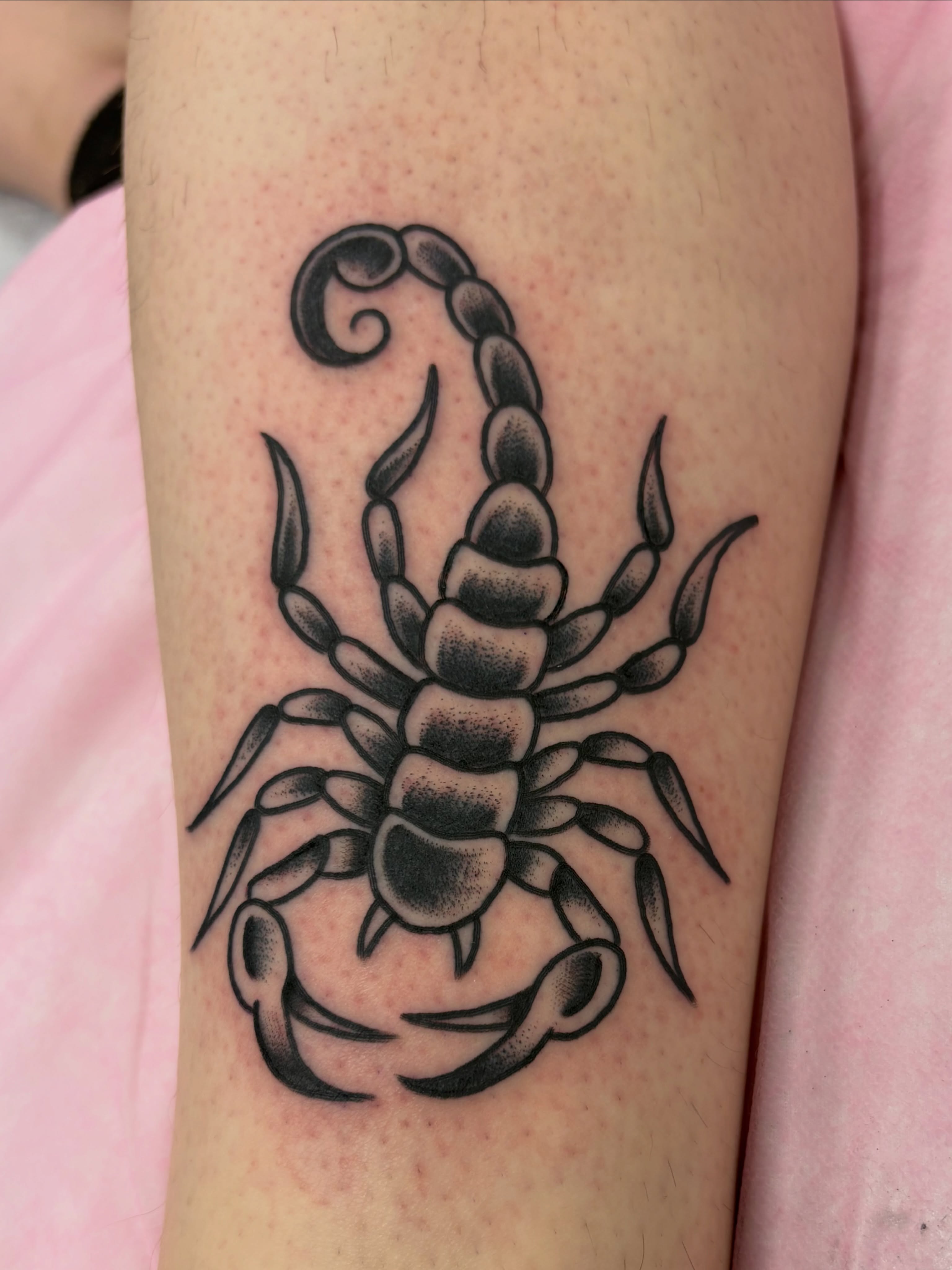 Scorpion dotwork tattoo on the forearm by Aysia Mankin-Wong, San Francisco, California