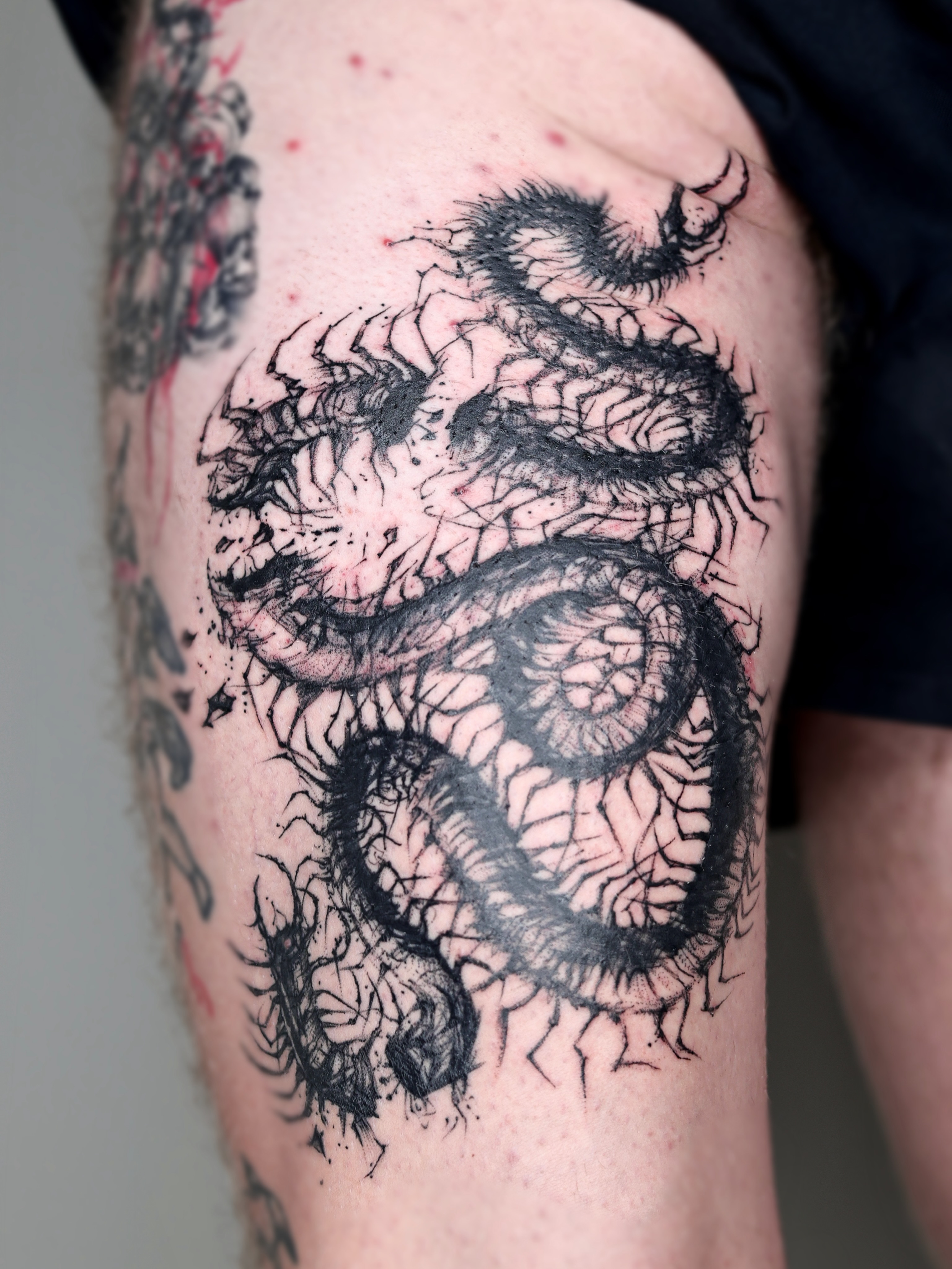 Dragon realism tattoo on the thigh by Abi