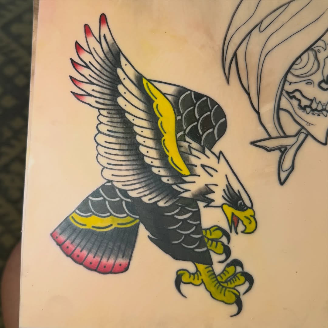 Hawk American traditional tattoo by Addison Bruce