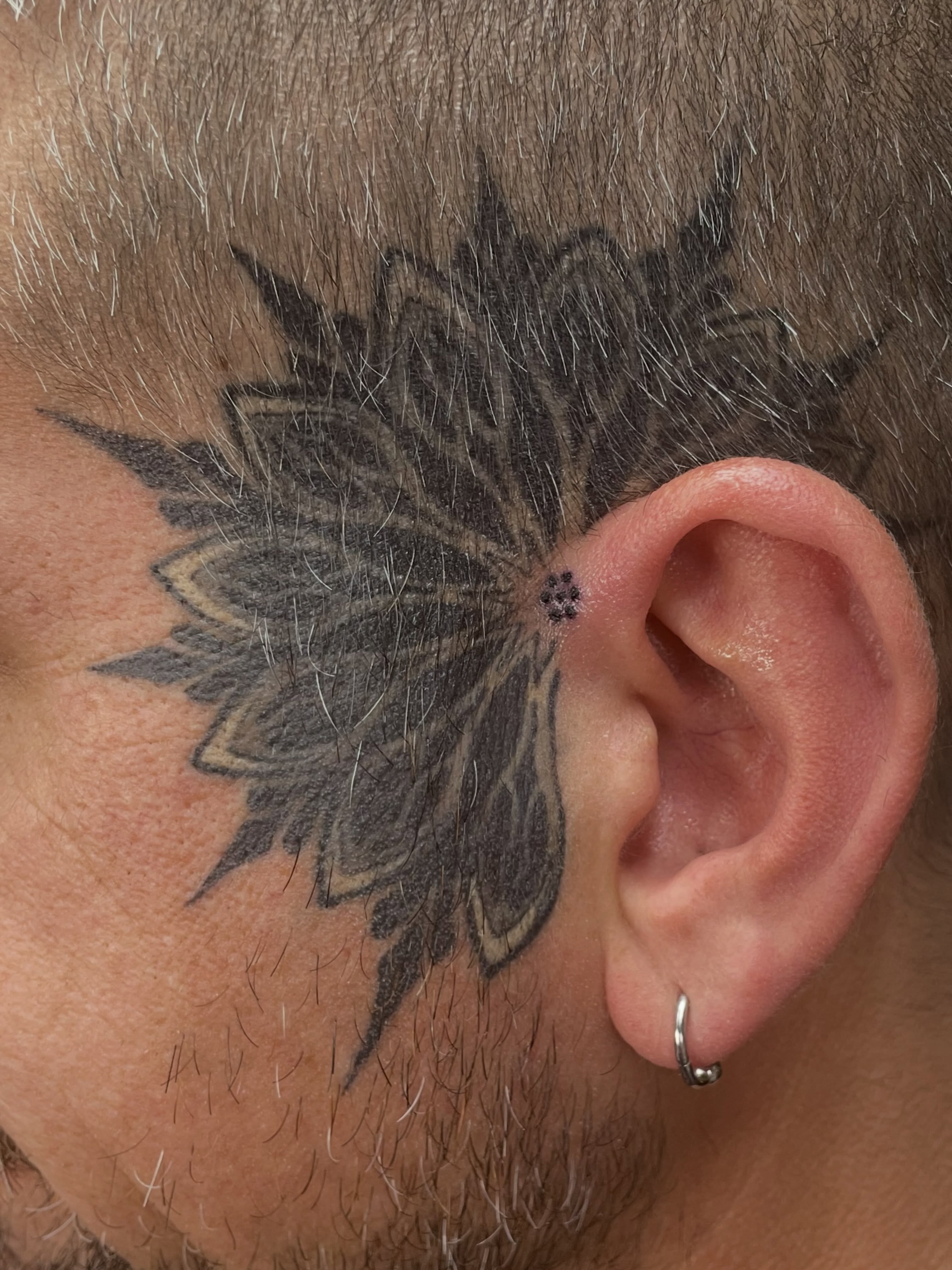 Tattoo by @ariesinkedme — dotwork, black_and_grey