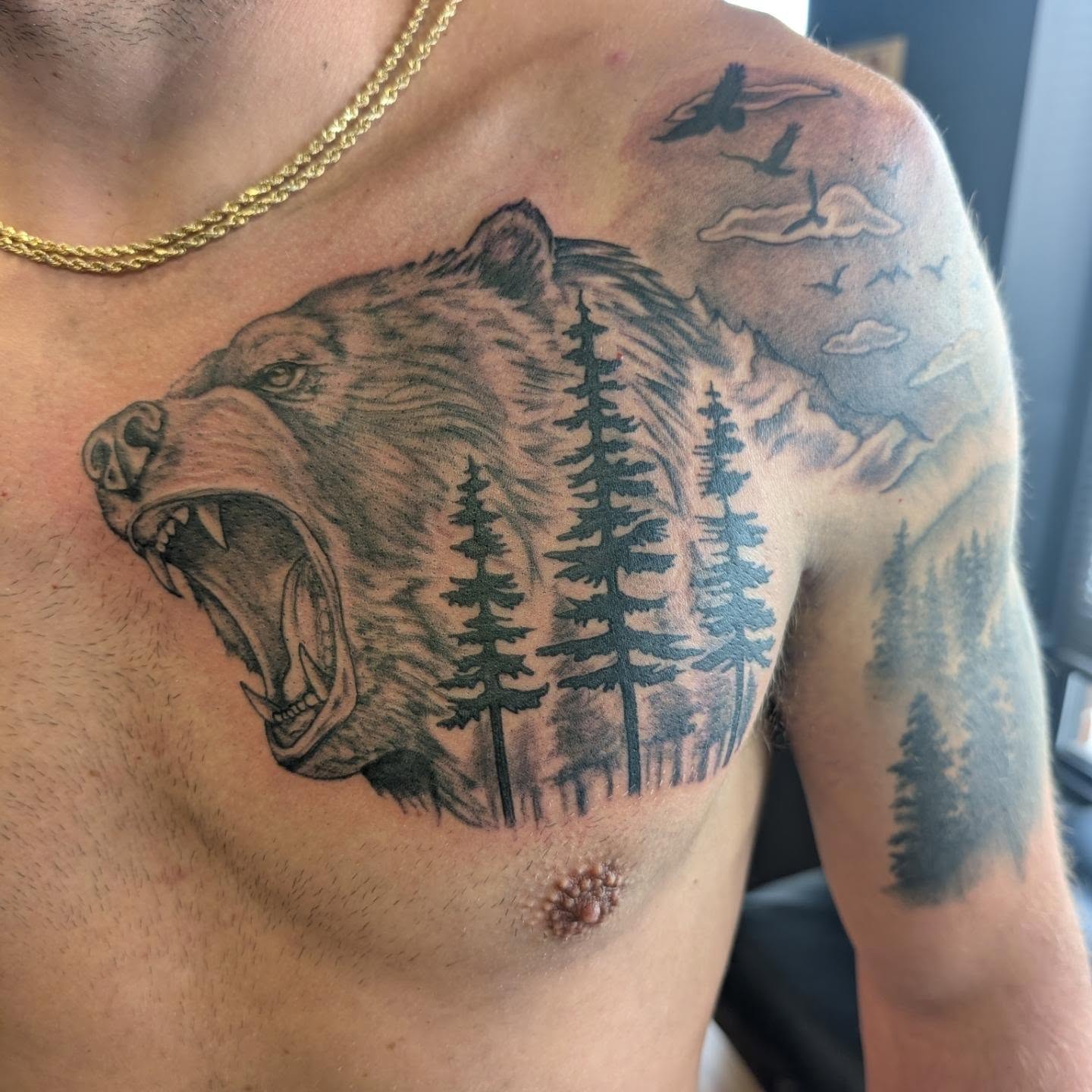 Roaring bear realism tattoo on the chest by Chad Nuber