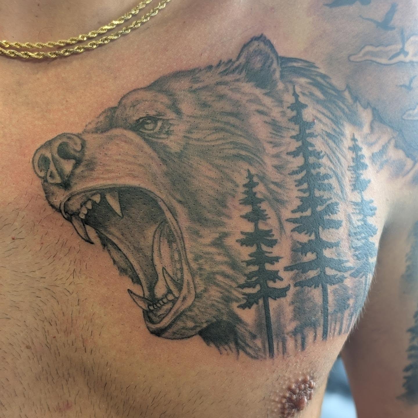 Bear black and grey tattoo on the chest by Chad Nuber