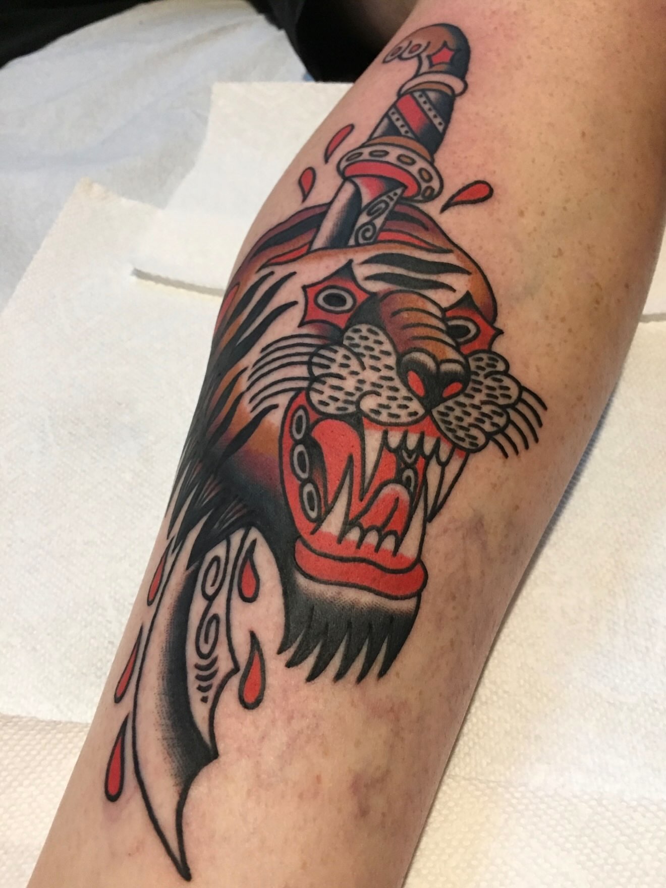 Tiger with dagger American traditional tattoo on the forearm by Steve Pearson