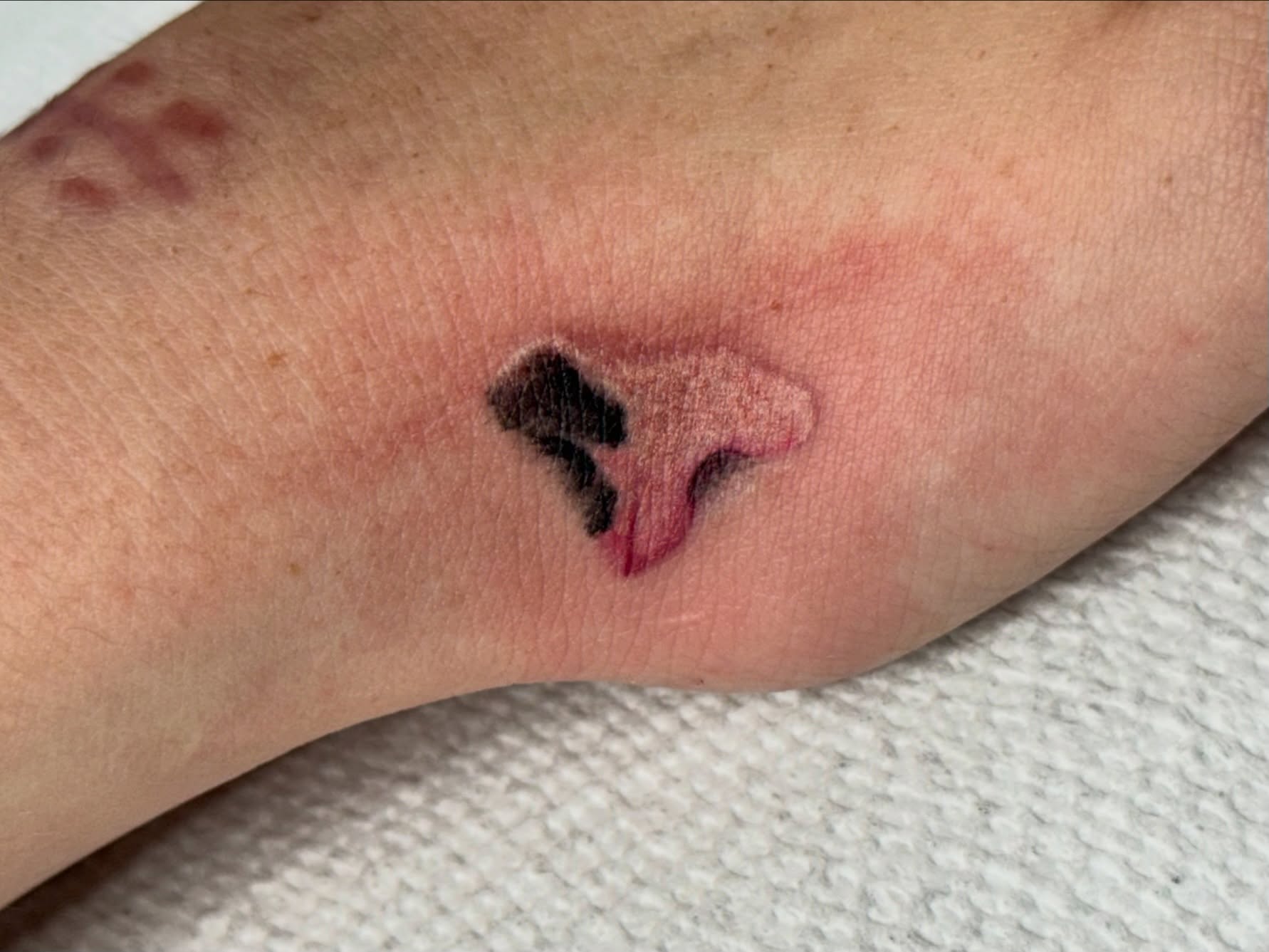 Penis American traditional tattoo on the forearm by Lacee-Beth Finch
