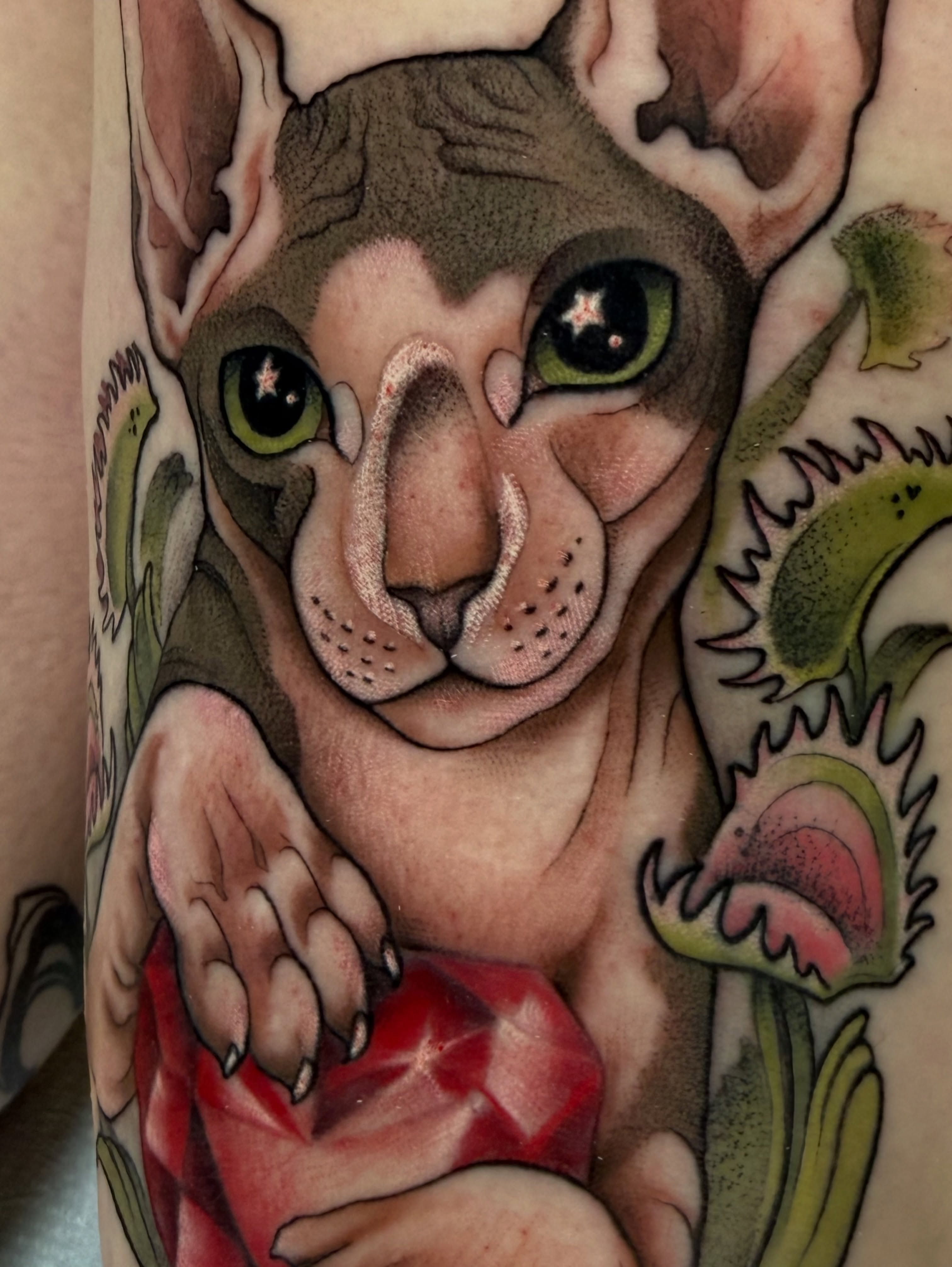 Cat realism tattoo on the forearm by Maia Papaya Tattoos 🐝 Olympia Tattoo Artist