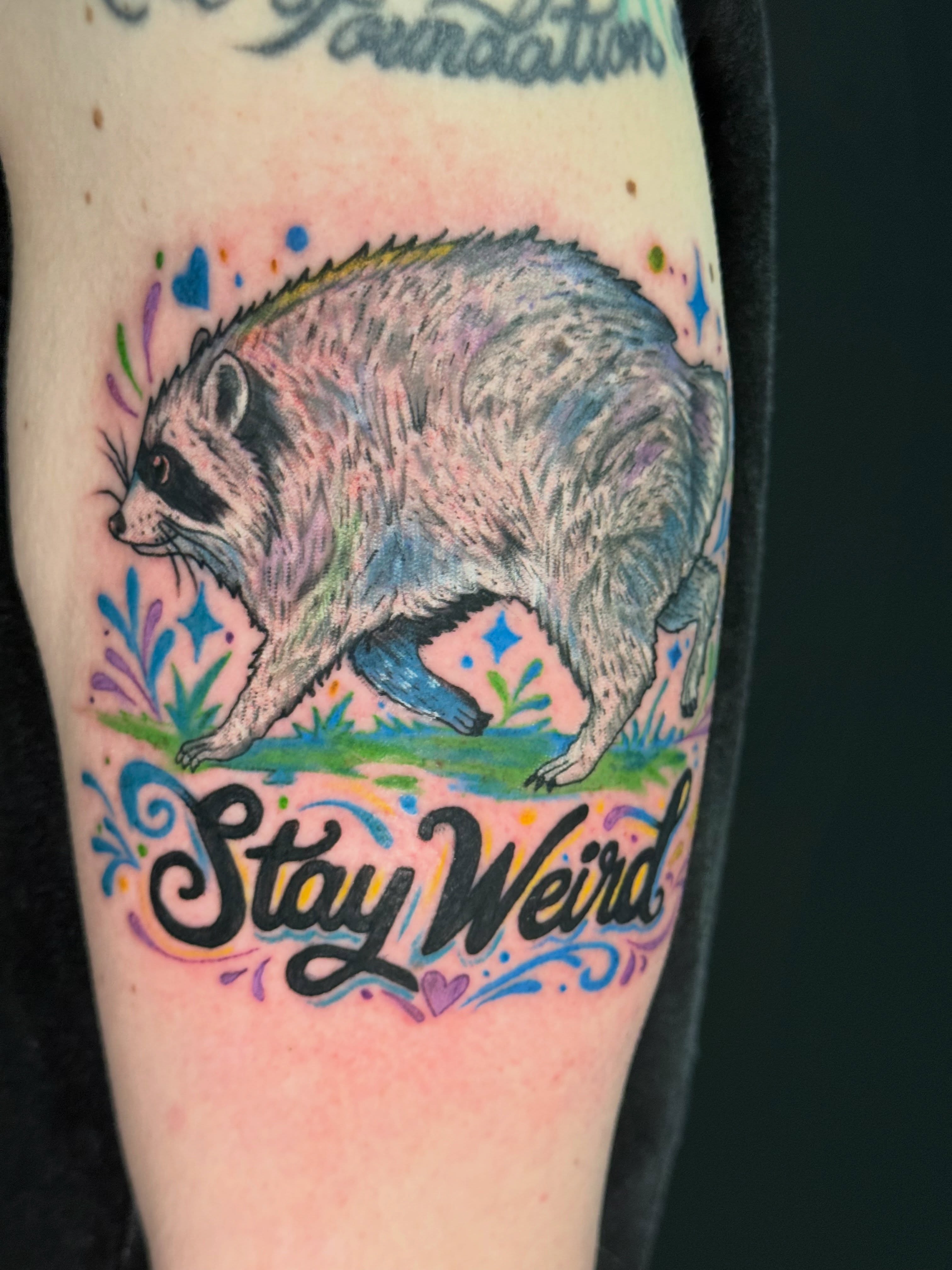 Raccoon new school tattoo on the forearm by Michelle Balhan