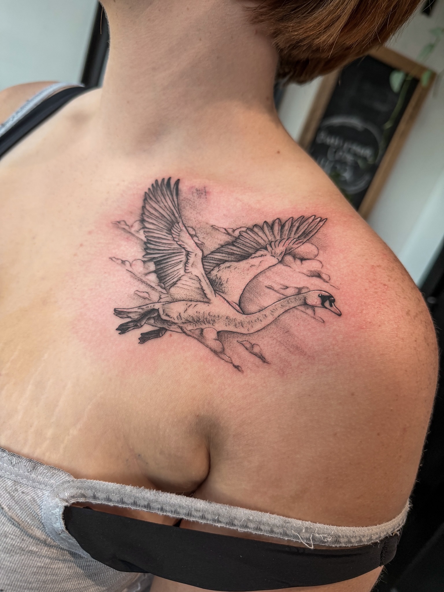 Swan black and grey tattoo on the shoulder by Reagan Sutton