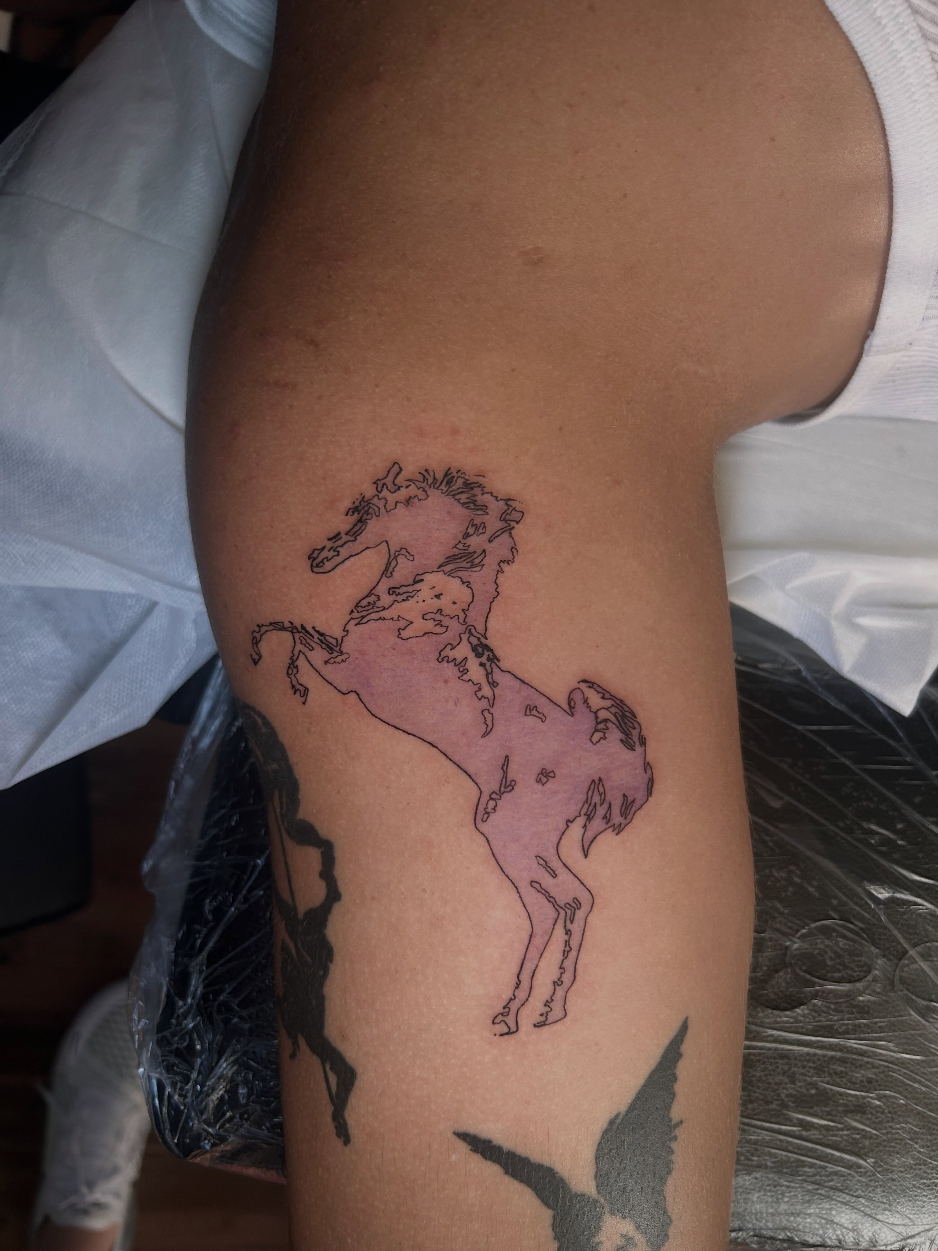 Horse dotwork tattoo on the thigh by KB