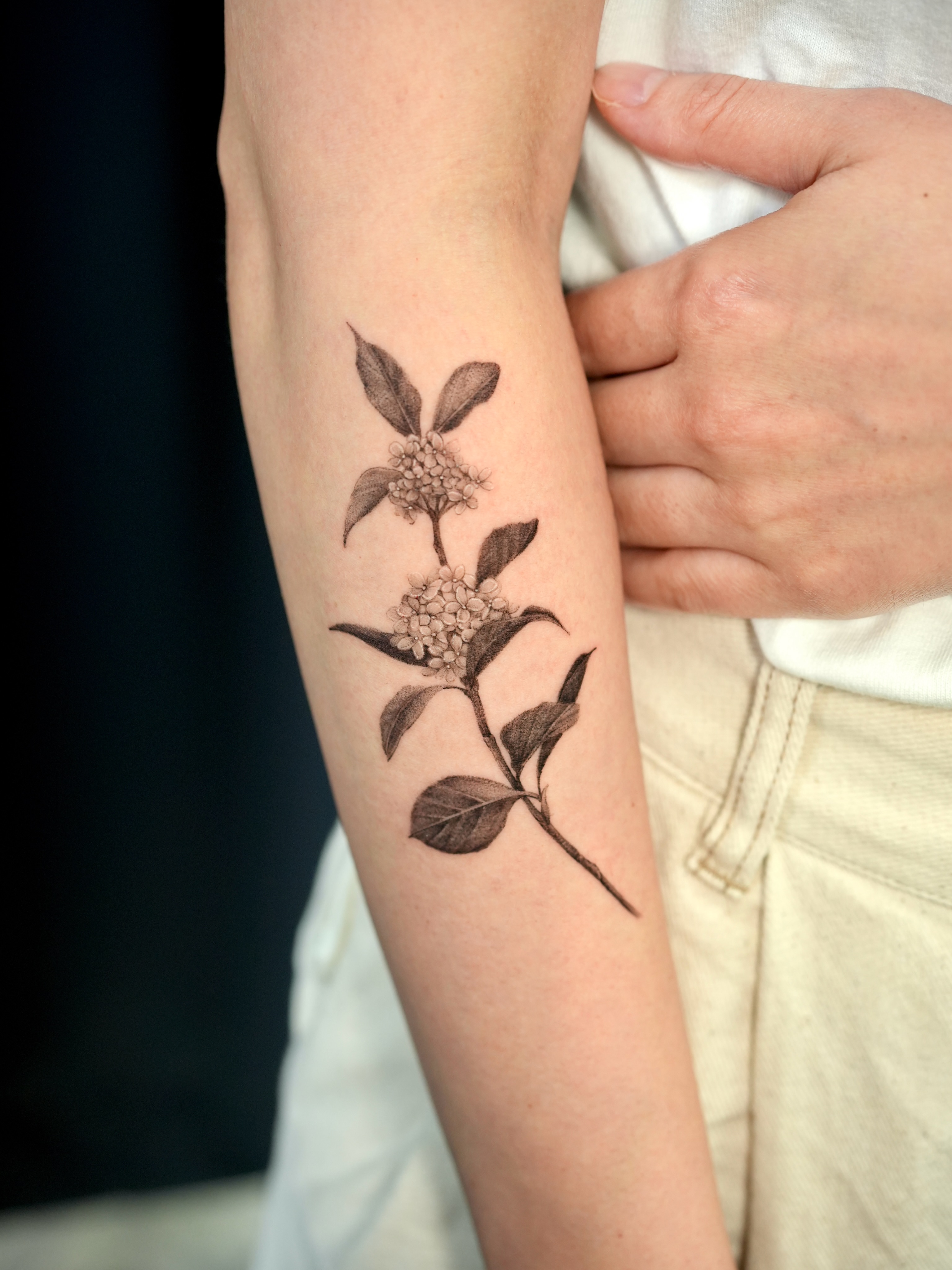 Tattoo by @tattooist_gaon — black_and_grey