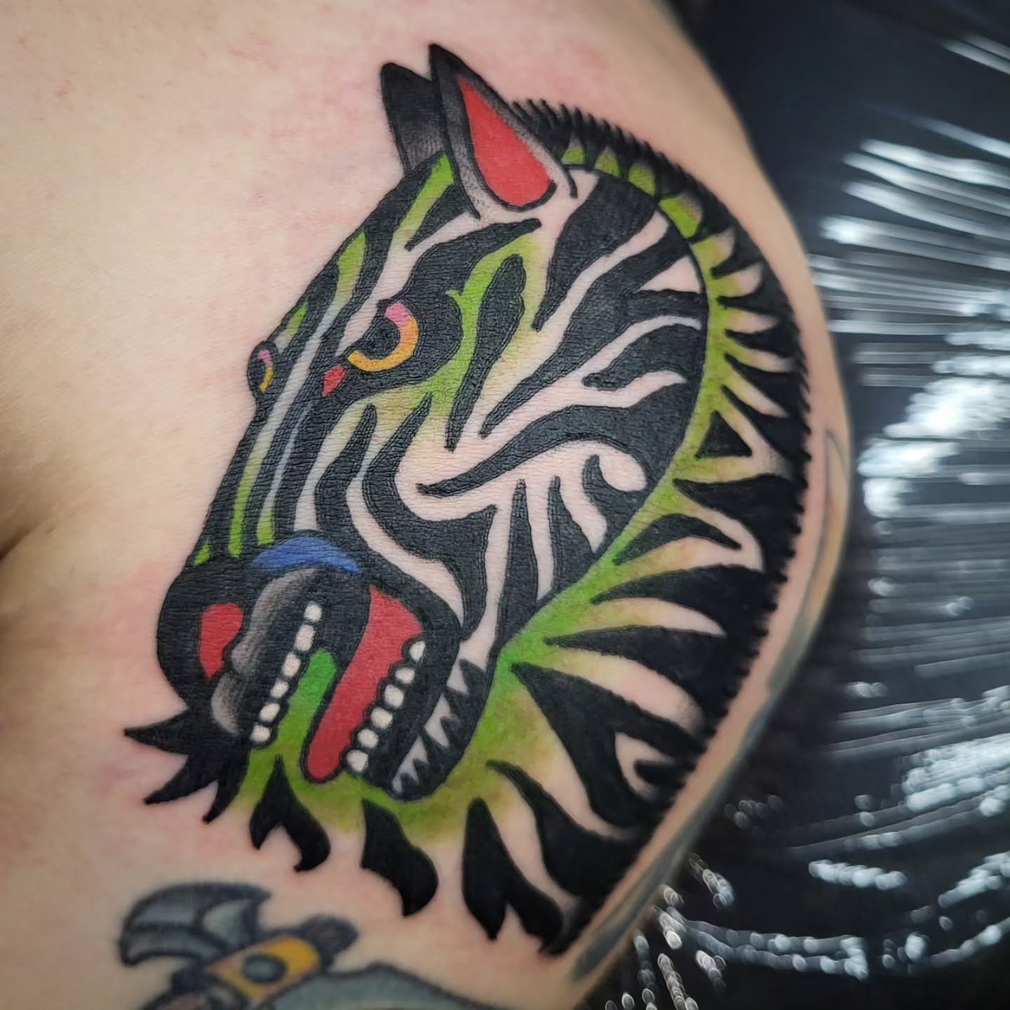 Zebra American traditional tattoo on the shoulder by Sloan Smith