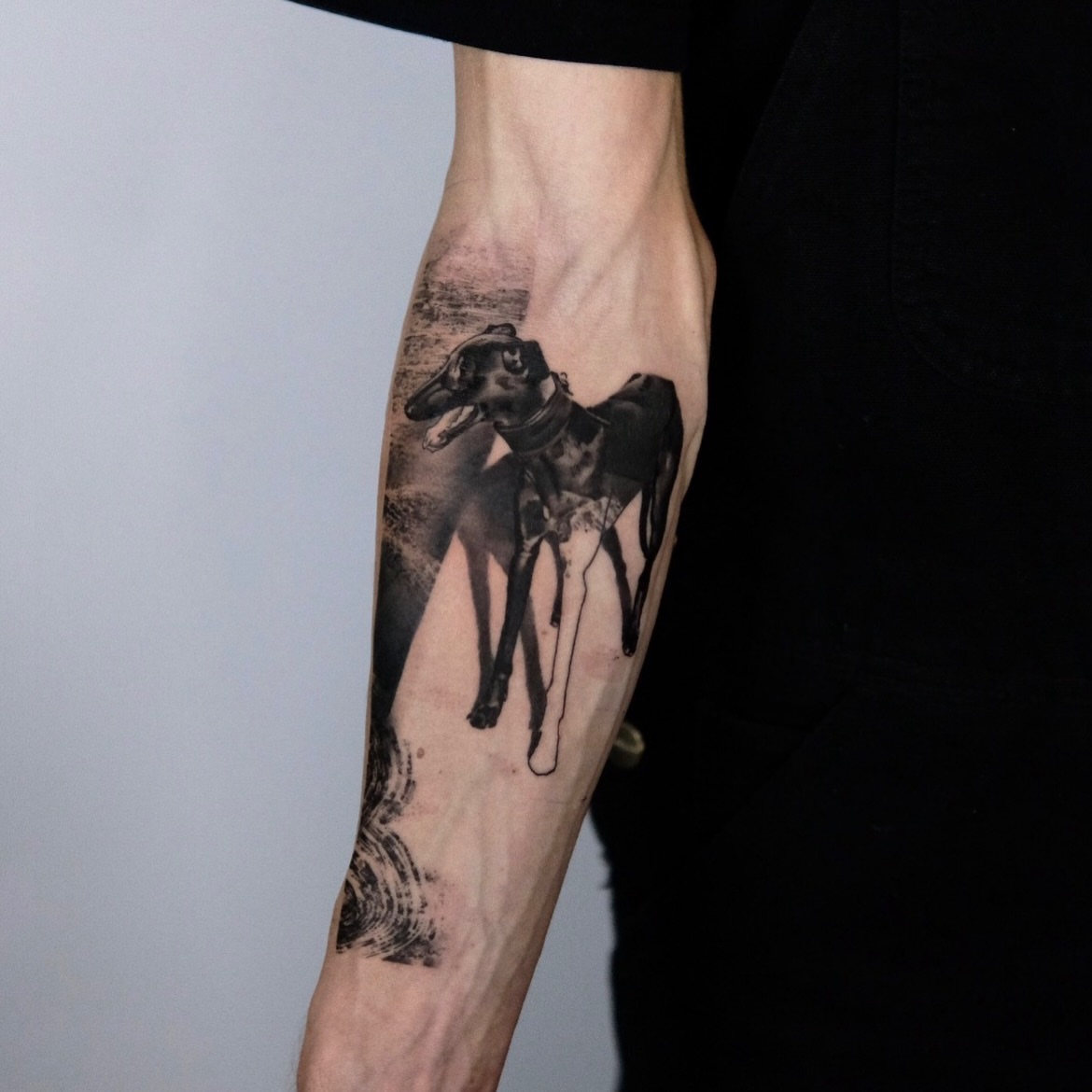 Greyhound realism tattoo on the forearm by 𝐌𝐀𝐊𝐒𝐈𝐌 𝐏𝐀𝐓𝐑𝐈𝐂𝐊