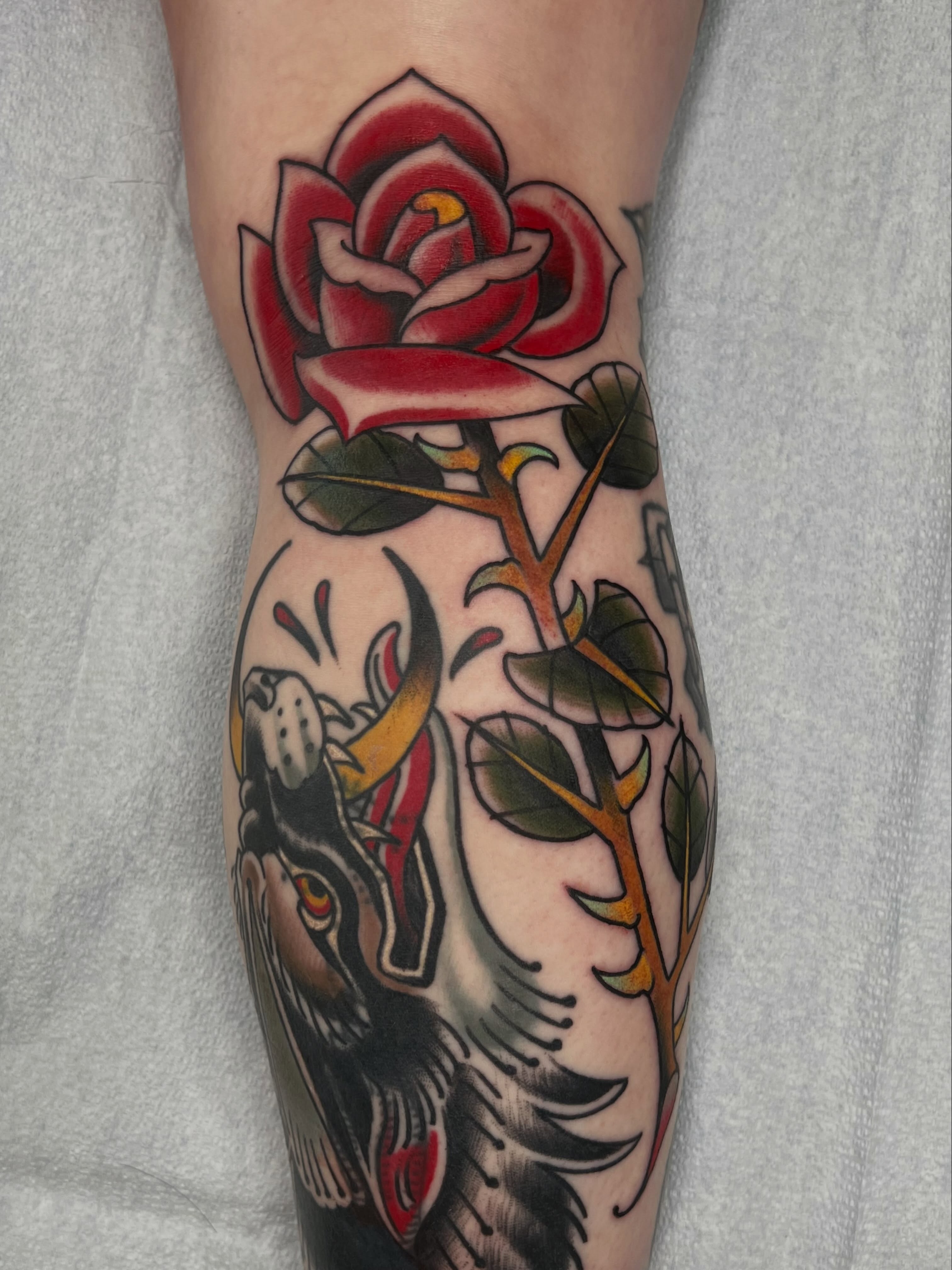 Rose and wolf American traditional tattoo on the forearm by Kyle Olson, Salt Lake City, Utah