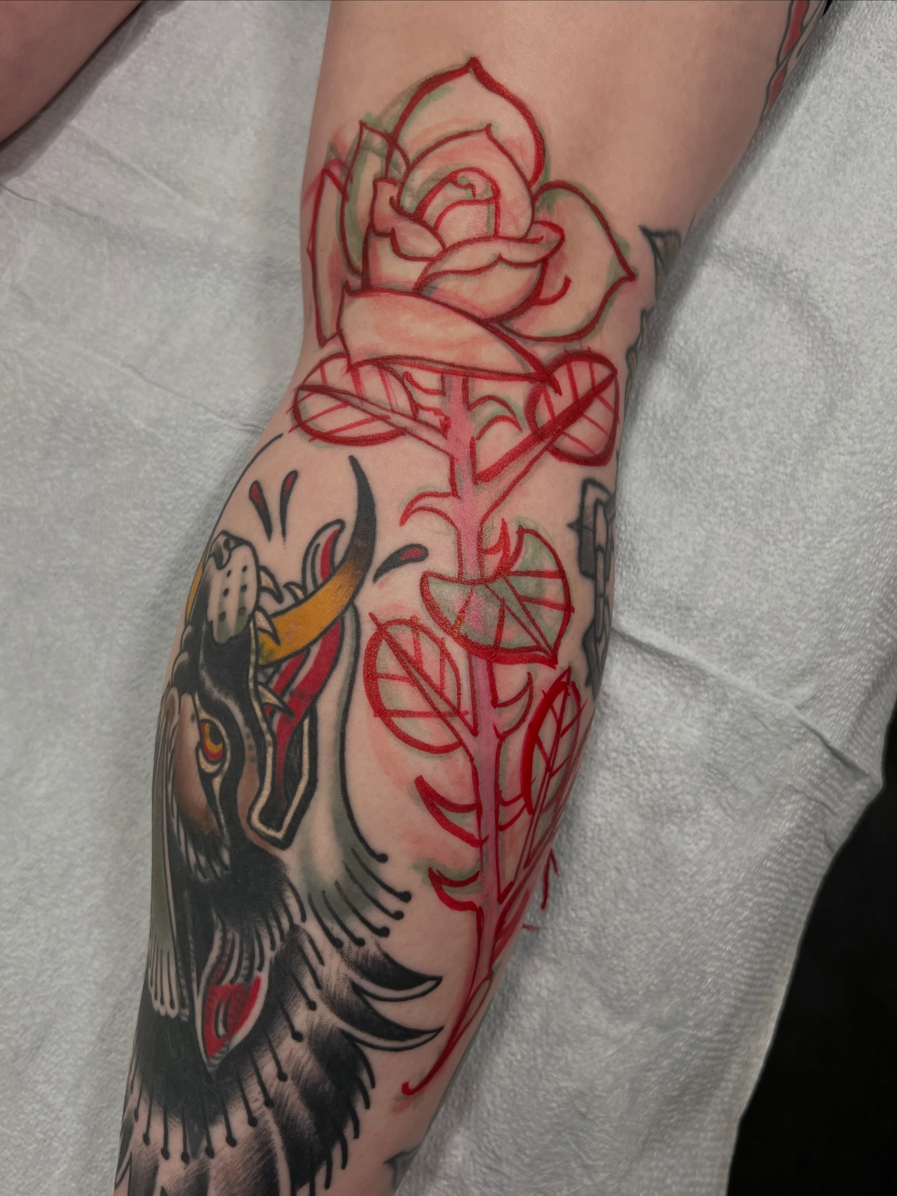Rose and wolf American traditional tattoo on the forearm by Kyle Olson, Salt Lake City, Utah