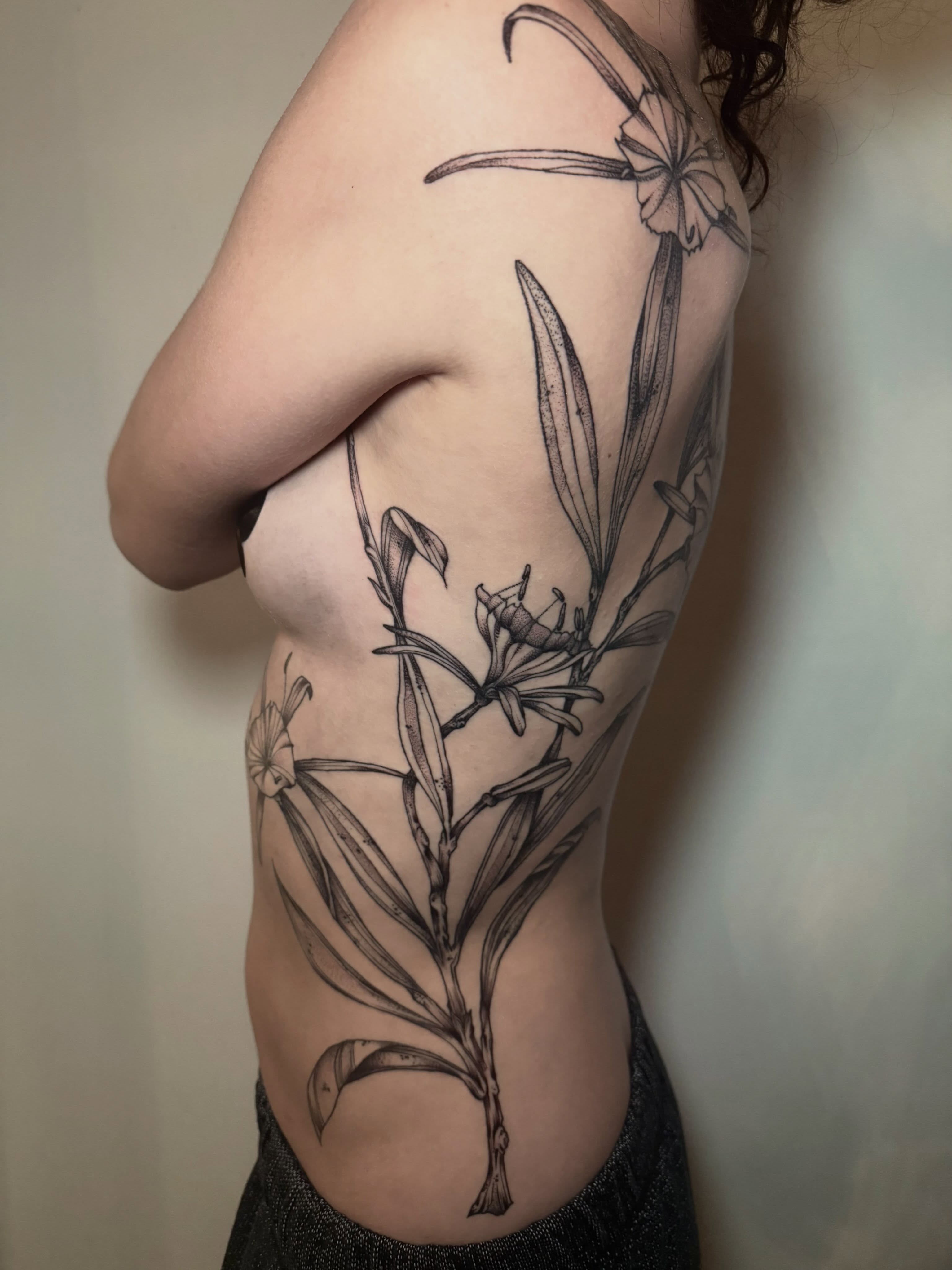 Lily plant black and grey tattoo on the ribs by Abby ✣ fineline and blackwork ✣