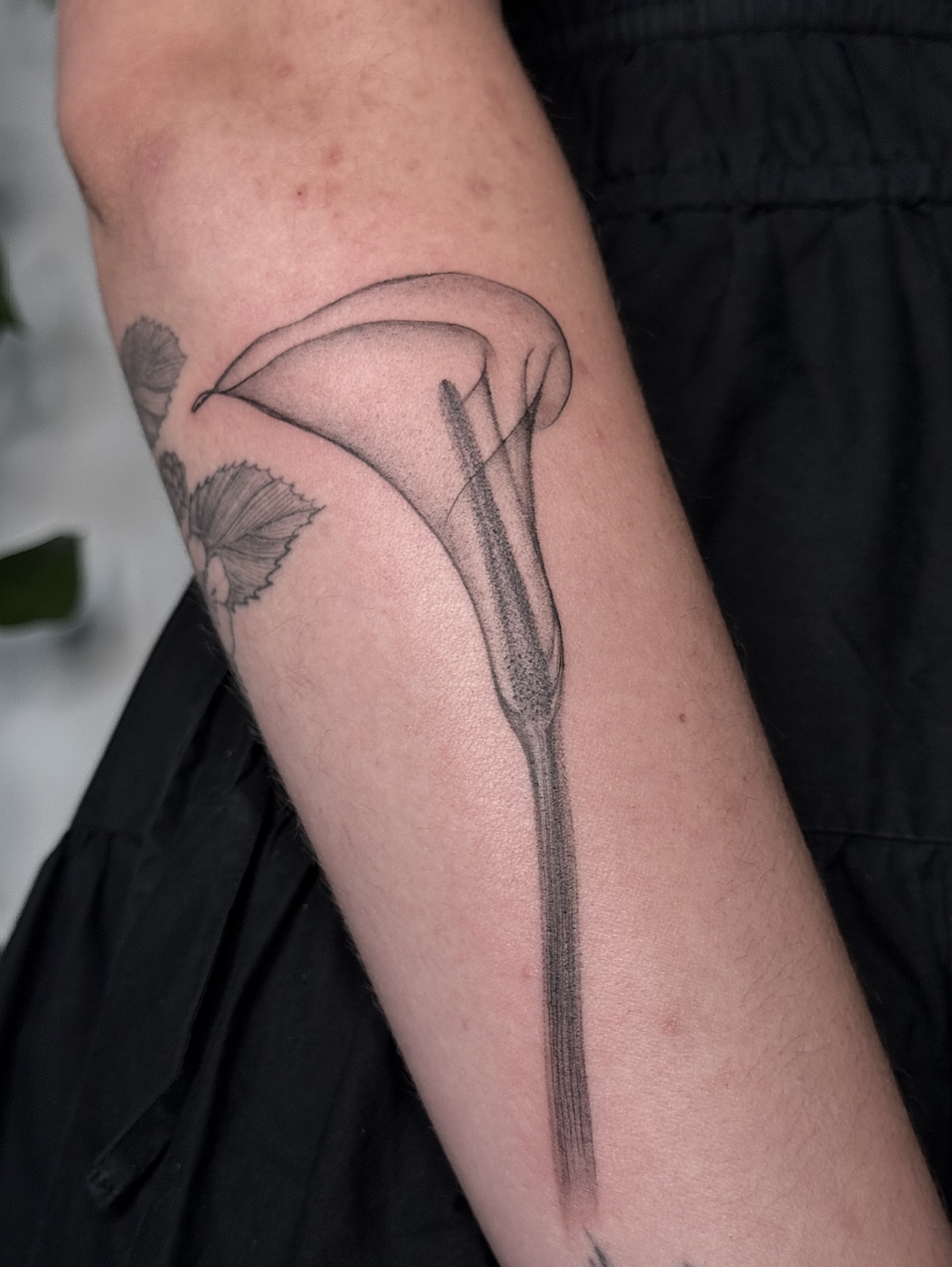 Calla lily black and grey tattoo on the forearm by Jasmine, Lynnwood, Washington