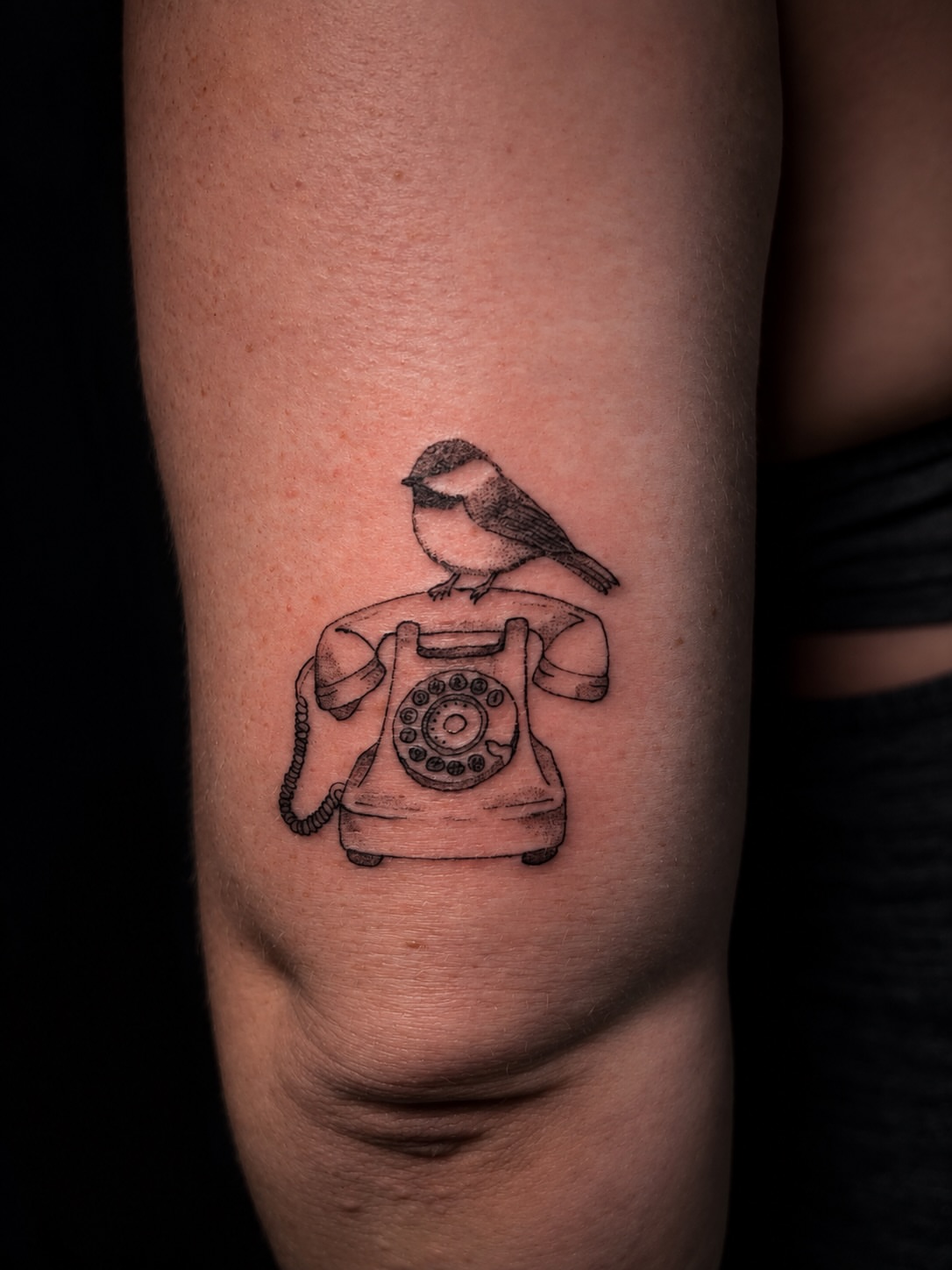 Telephone and bird dotwork tattoo on the forearm by 𝚃𝙰𝚃𝚃𝙾𝙾 𝙰𝚁𝚃𝙸𝚂𝚃, Charlotte, North Carolina