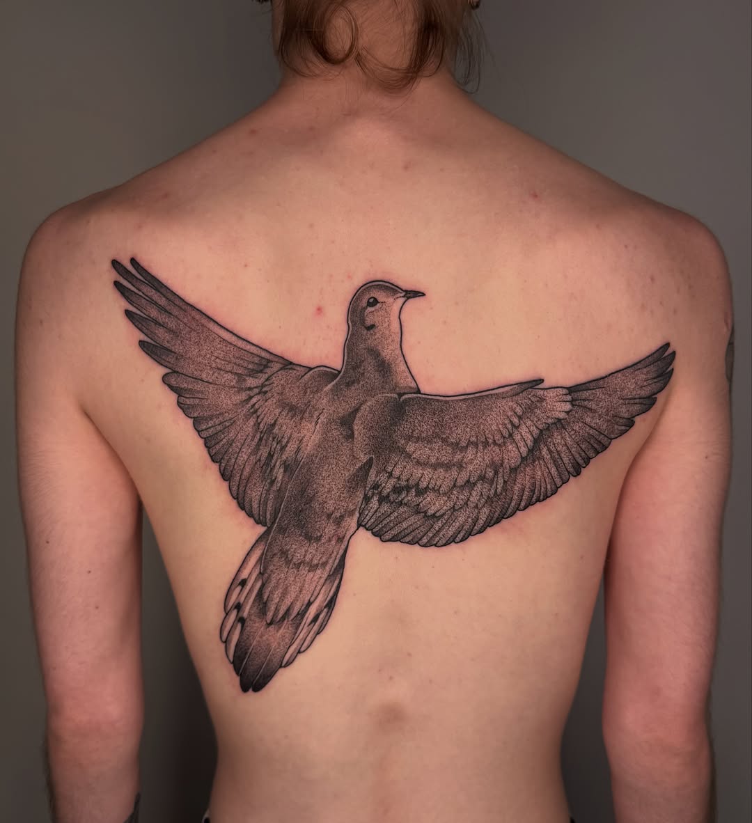 Tattoo by @juleghoul — dotwork, black_and_grey