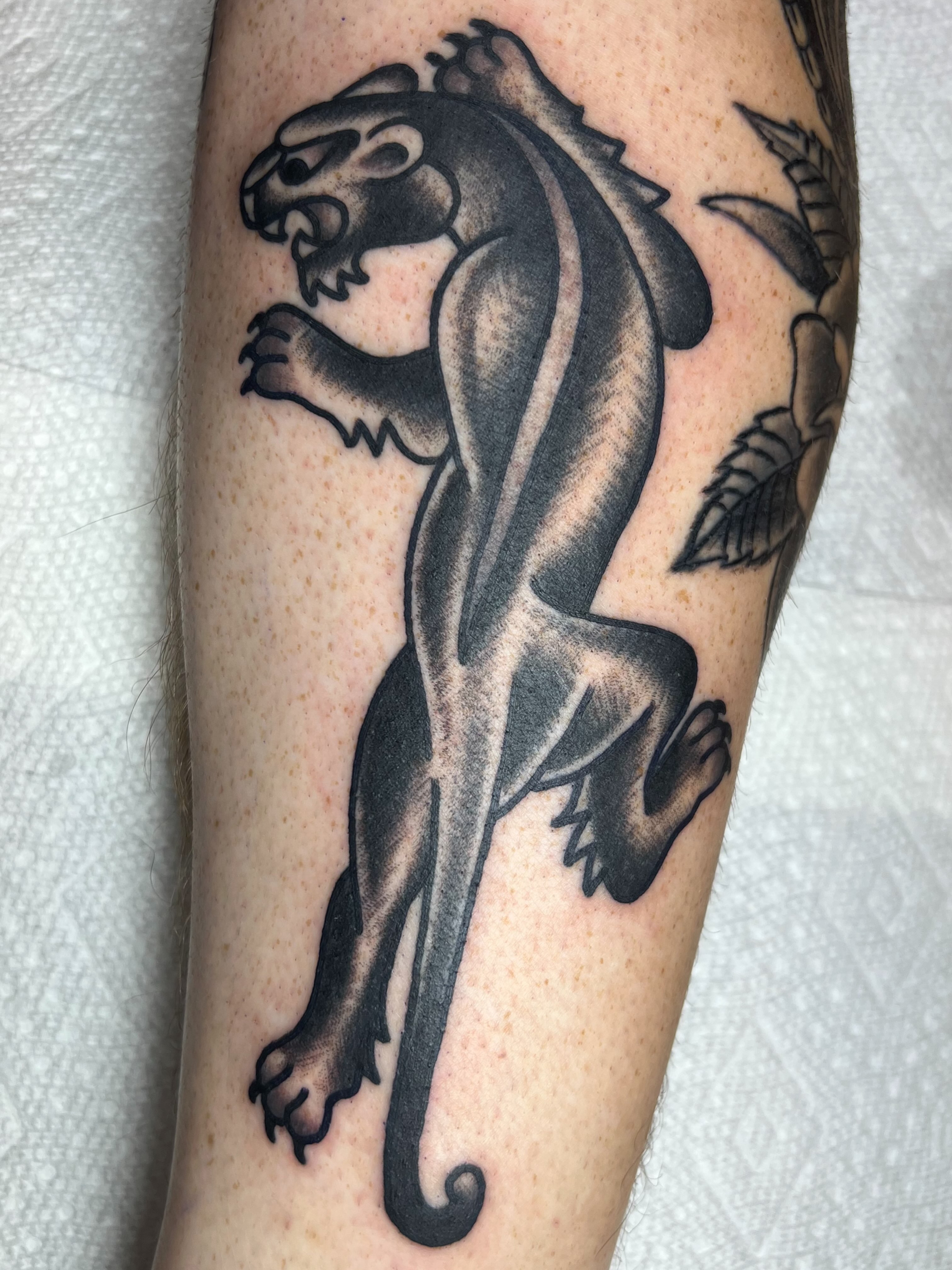 Panther black and grey tattoo on the forearm by Tattoo