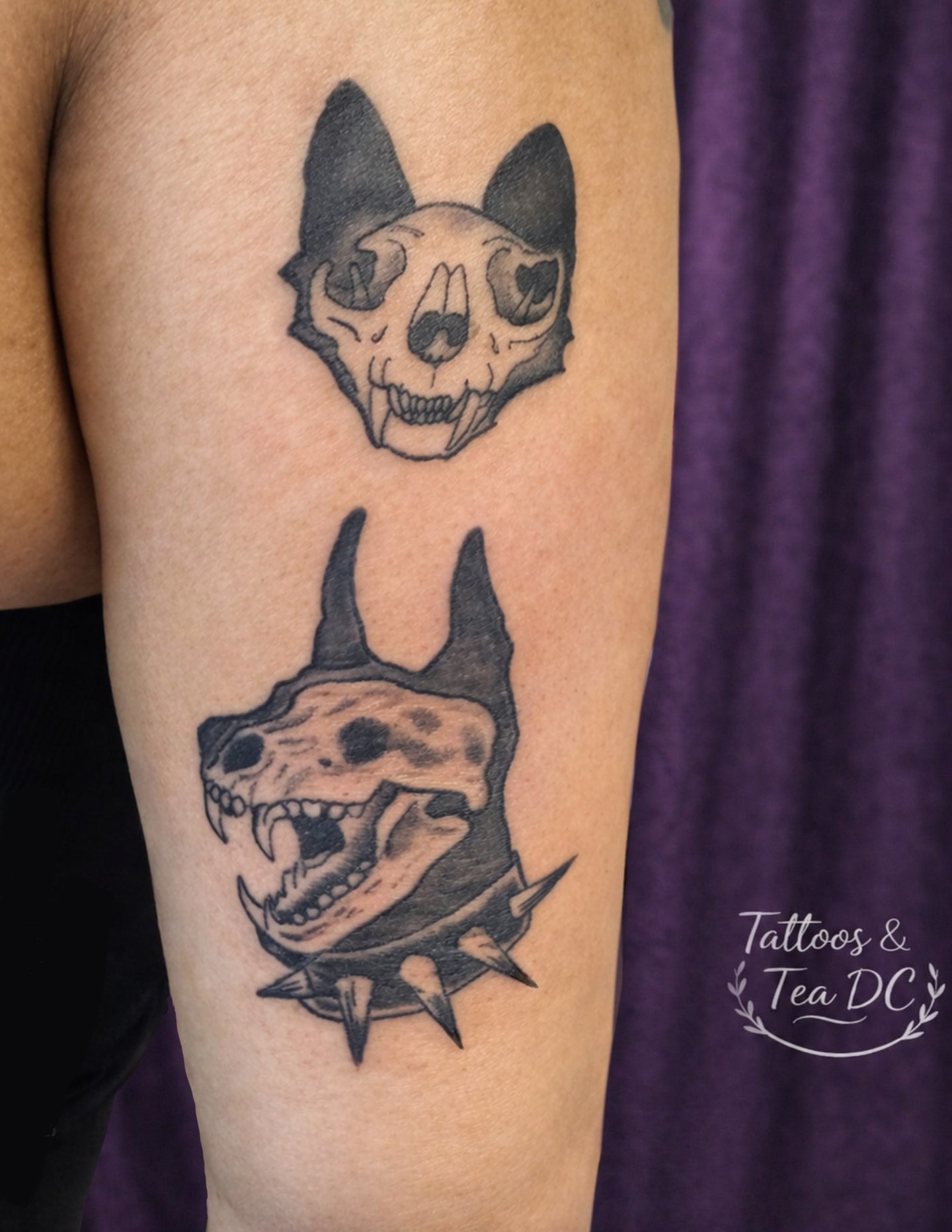 Dog skull black and grey tattoo on the forearm by Tattoos & Tea DC, Arlington, Virginia